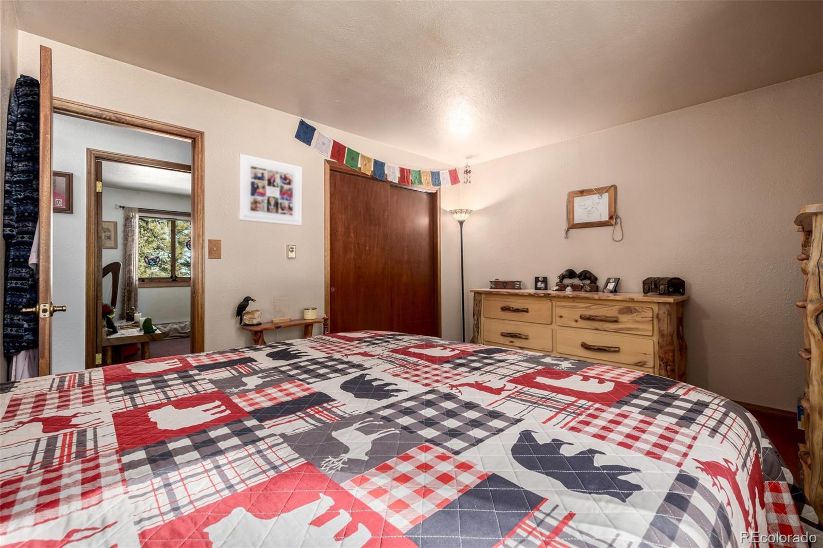MLS Image #24 for 13202  riley peak road,conifer, Colorado