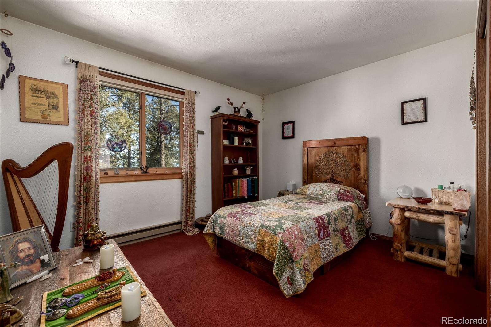 MLS Image #25 for 13202  riley peak road,conifer, Colorado