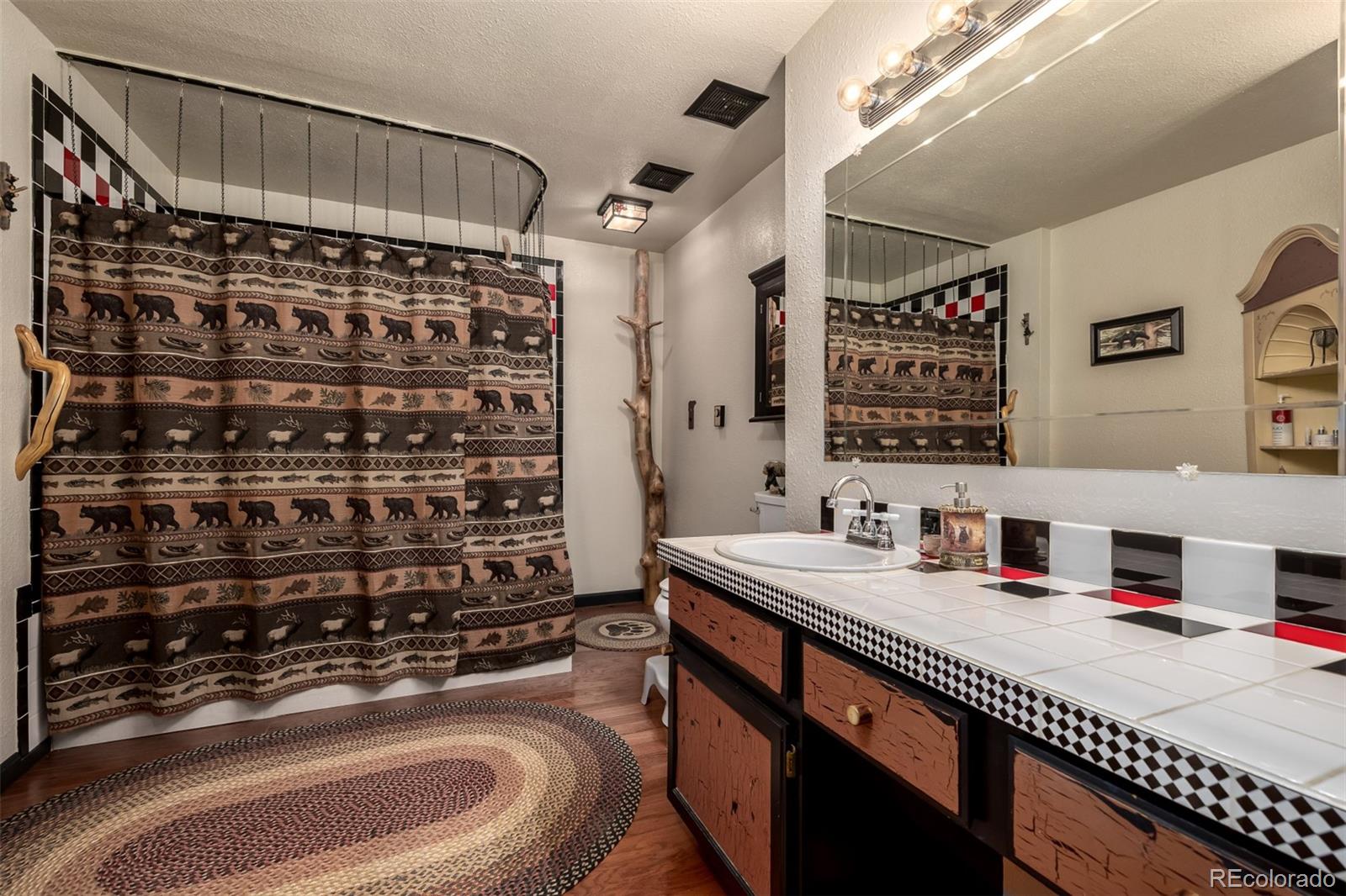 MLS Image #27 for 13202  riley peak road,conifer, Colorado