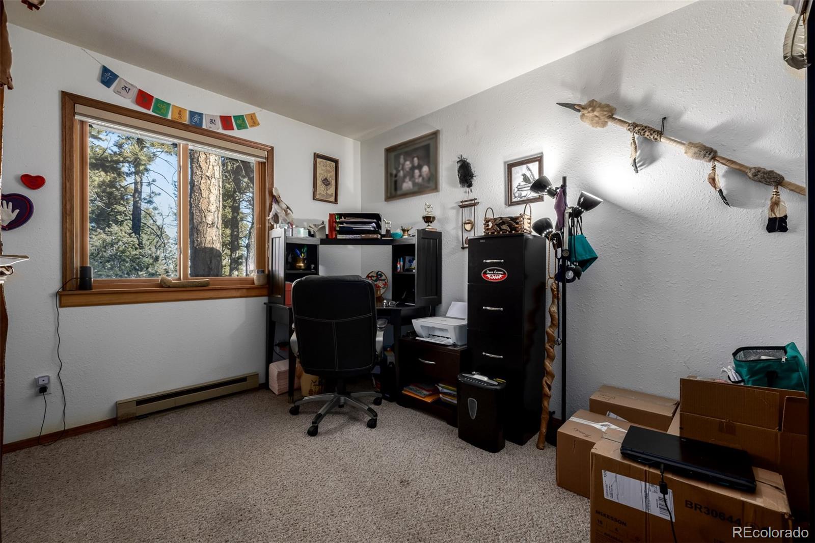 MLS Image #28 for 13202  riley peak road,conifer, Colorado
