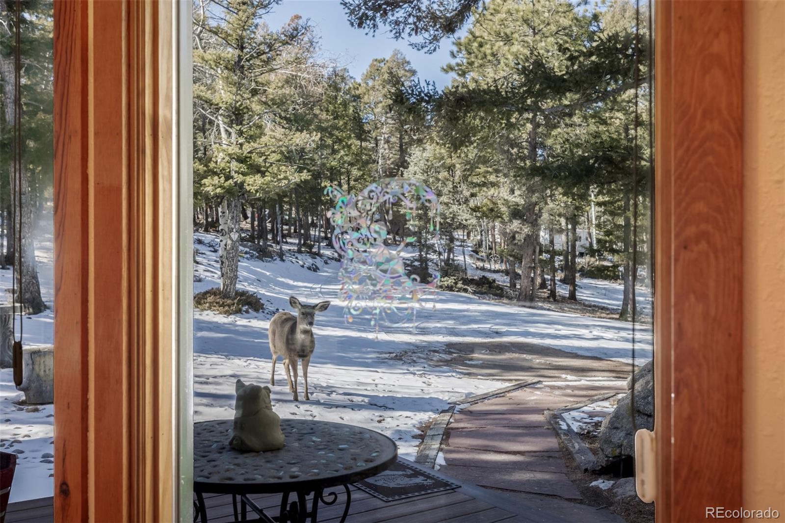 MLS Image #32 for 13202  riley peak road,conifer, Colorado