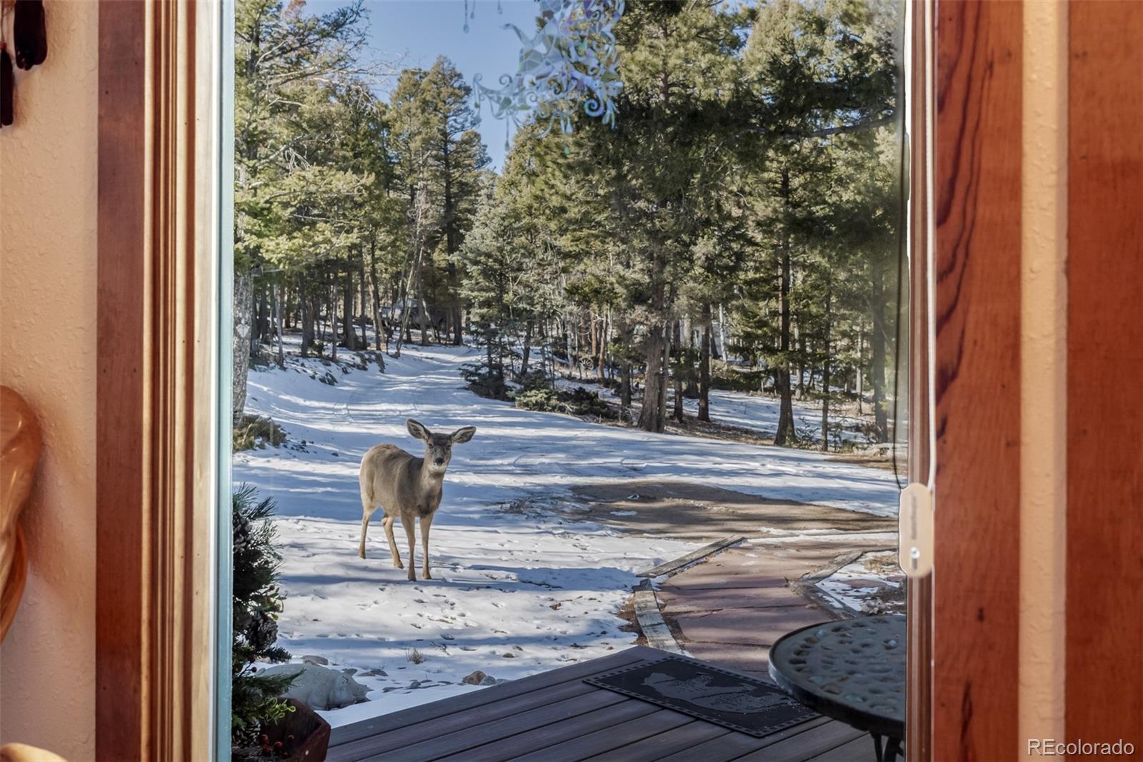 MLS Image #33 for 13202  riley peak road,conifer, Colorado
