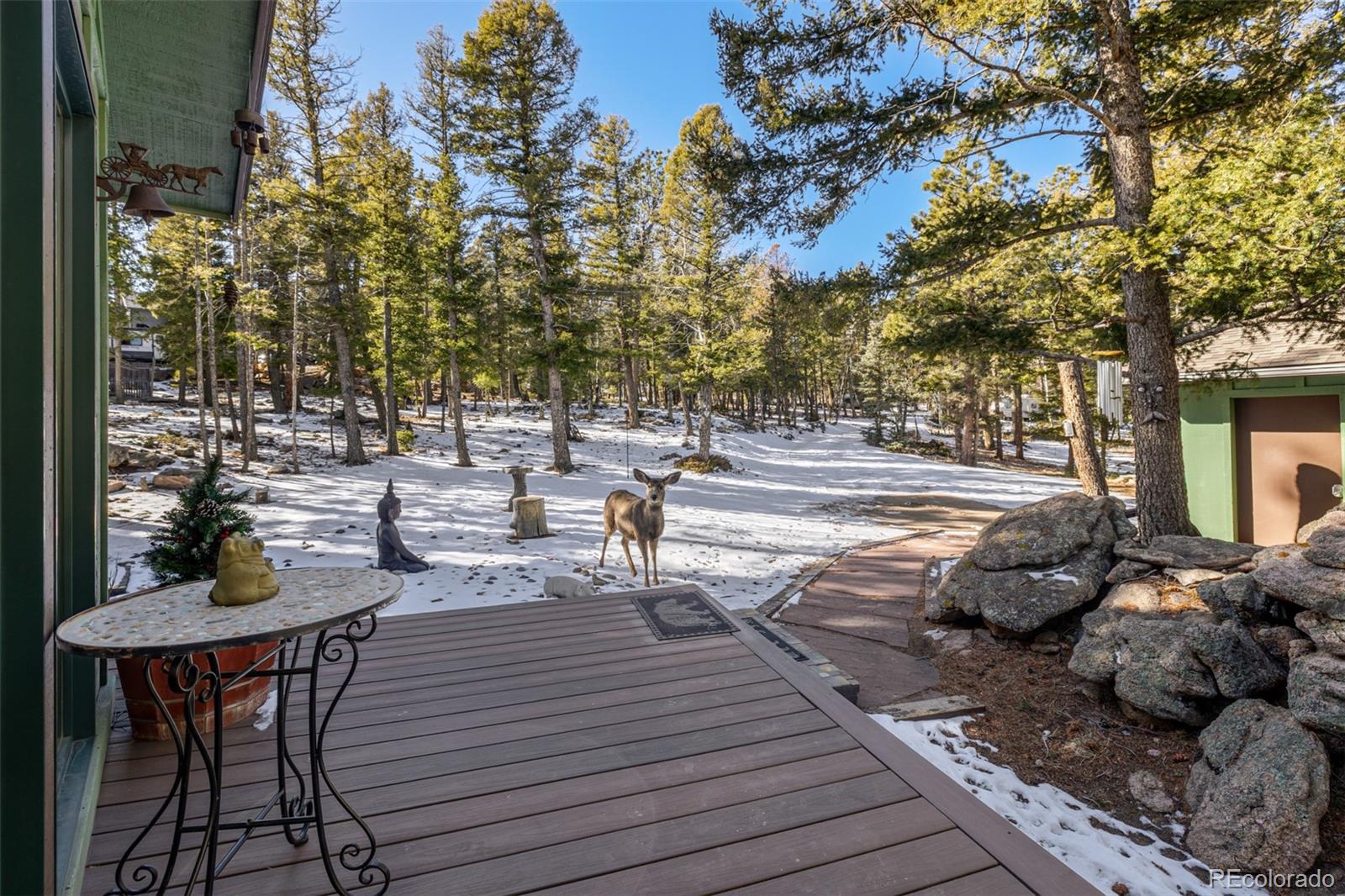 MLS Image #34 for 13202  riley peak road,conifer, Colorado