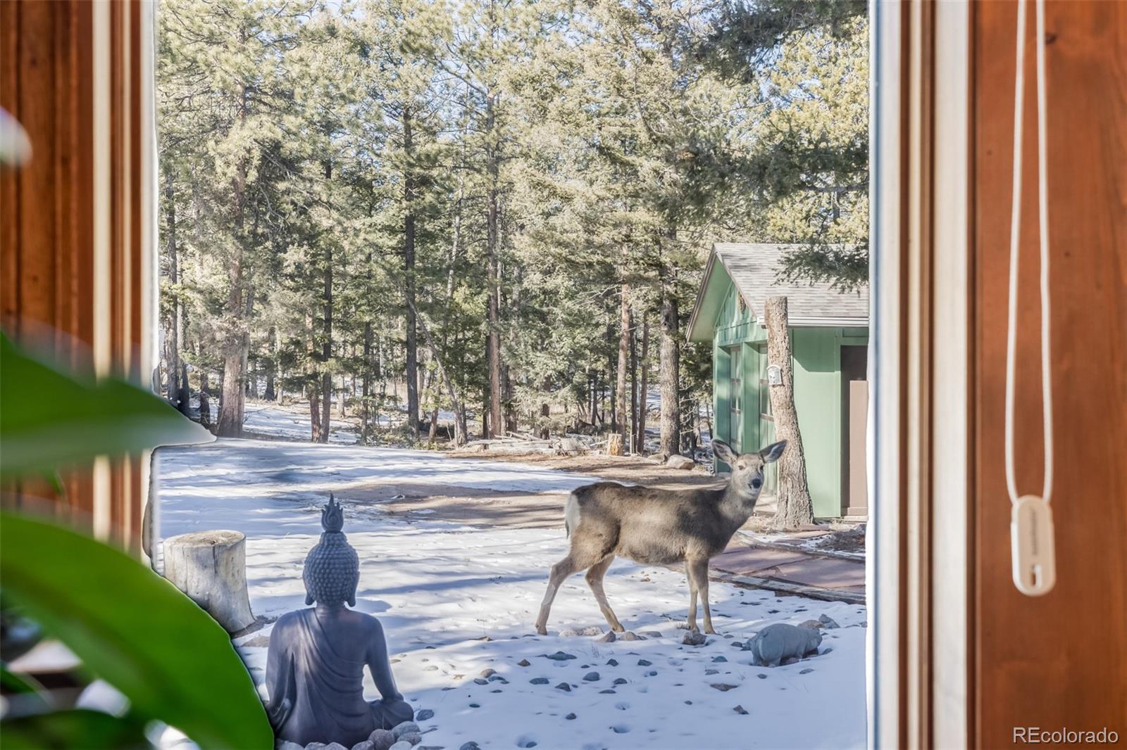 MLS Image #35 for 13202  riley peak road,conifer, Colorado