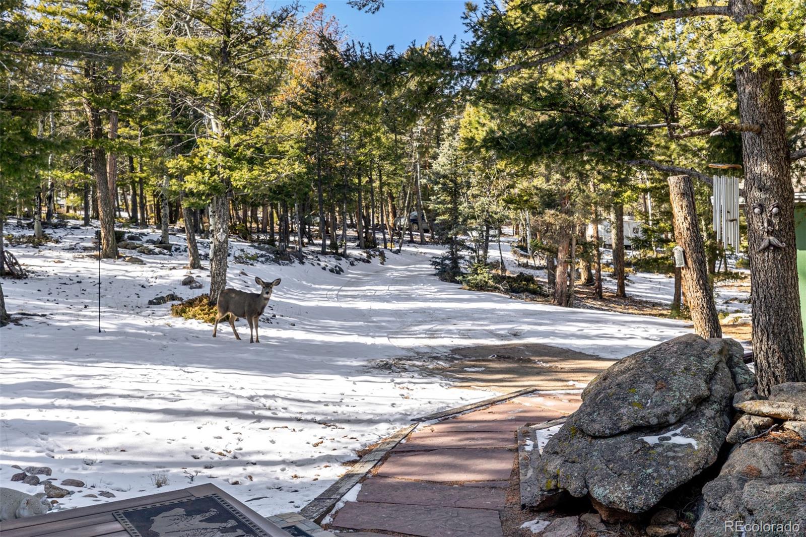 MLS Image #36 for 13202  riley peak road,conifer, Colorado