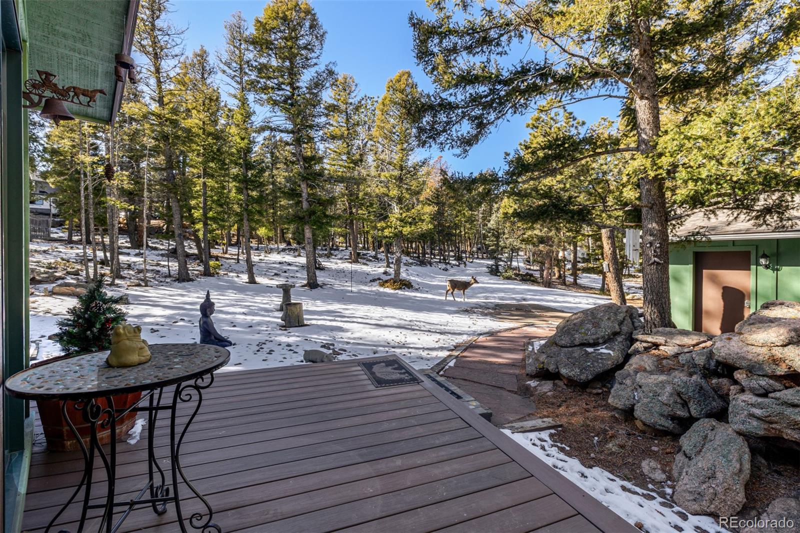 MLS Image #37 for 13202  riley peak road,conifer, Colorado