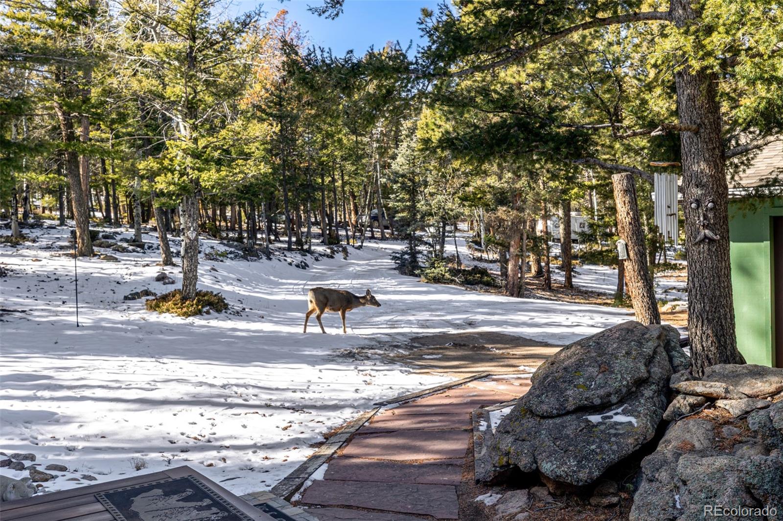 MLS Image #38 for 13202  riley peak road,conifer, Colorado