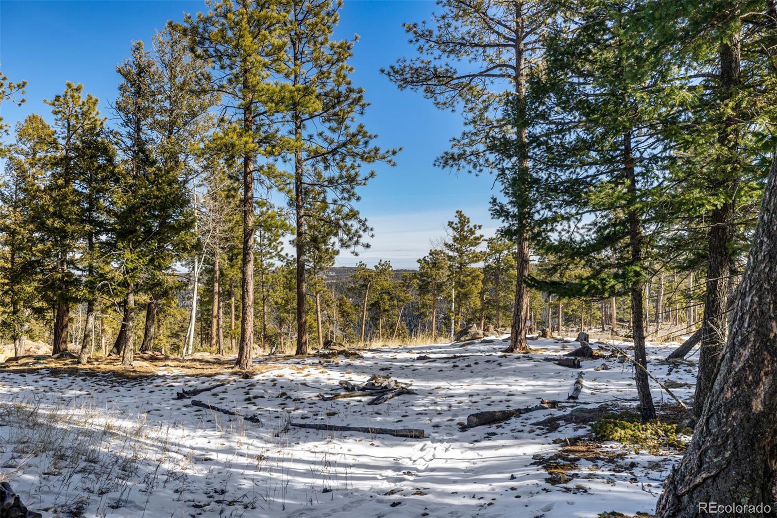 MLS Image #43 for 13202  riley peak road,conifer, Colorado