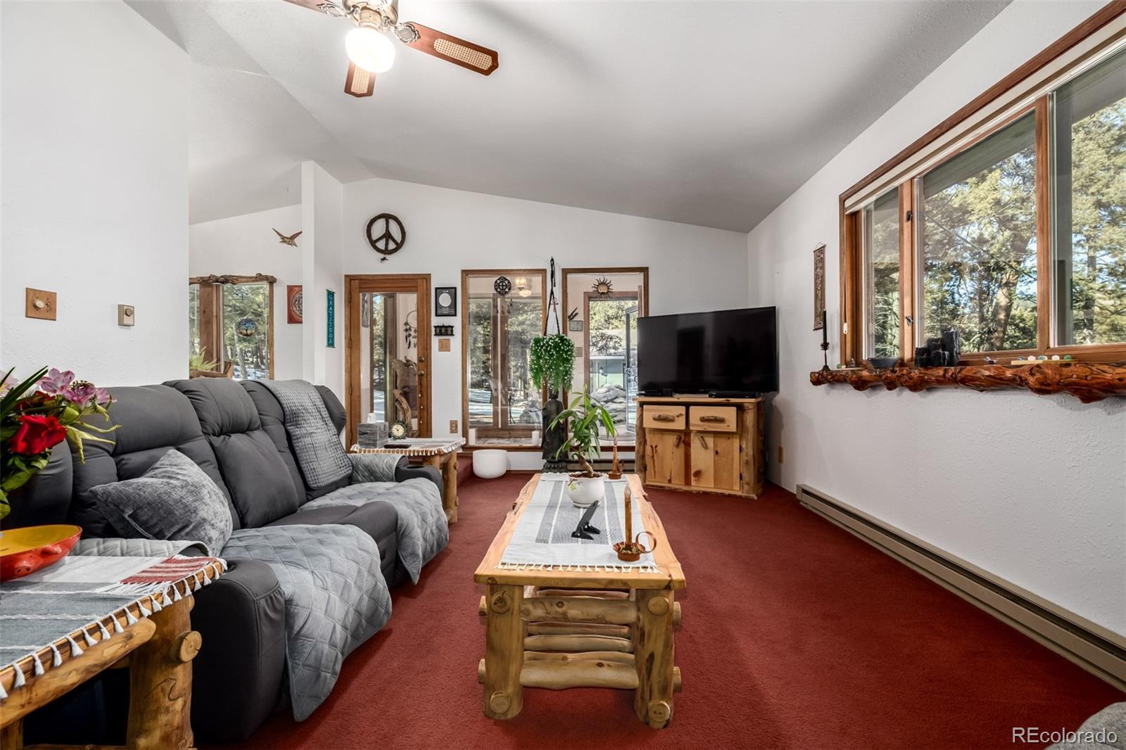 MLS Image #6 for 13202  riley peak road,conifer, Colorado