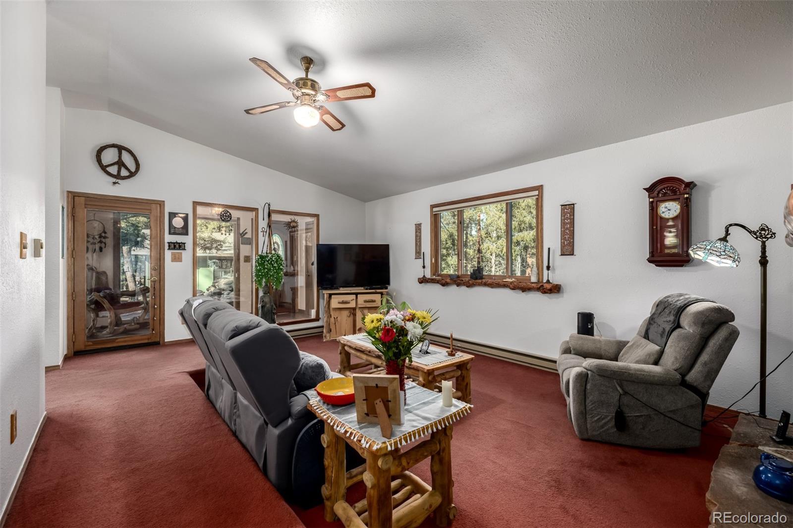 MLS Image #7 for 13202  riley peak road,conifer, Colorado