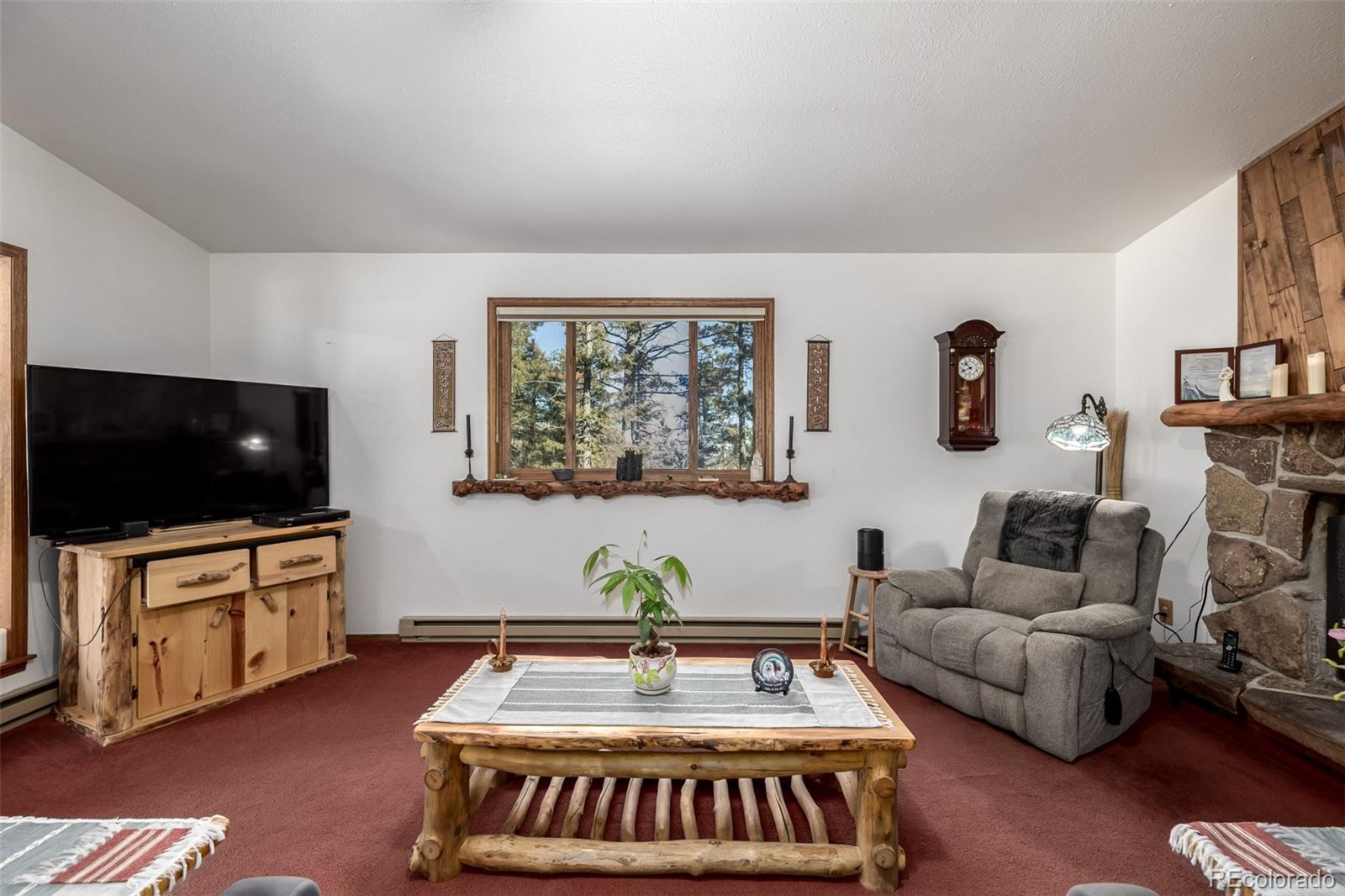 MLS Image #8 for 13202  riley peak road,conifer, Colorado