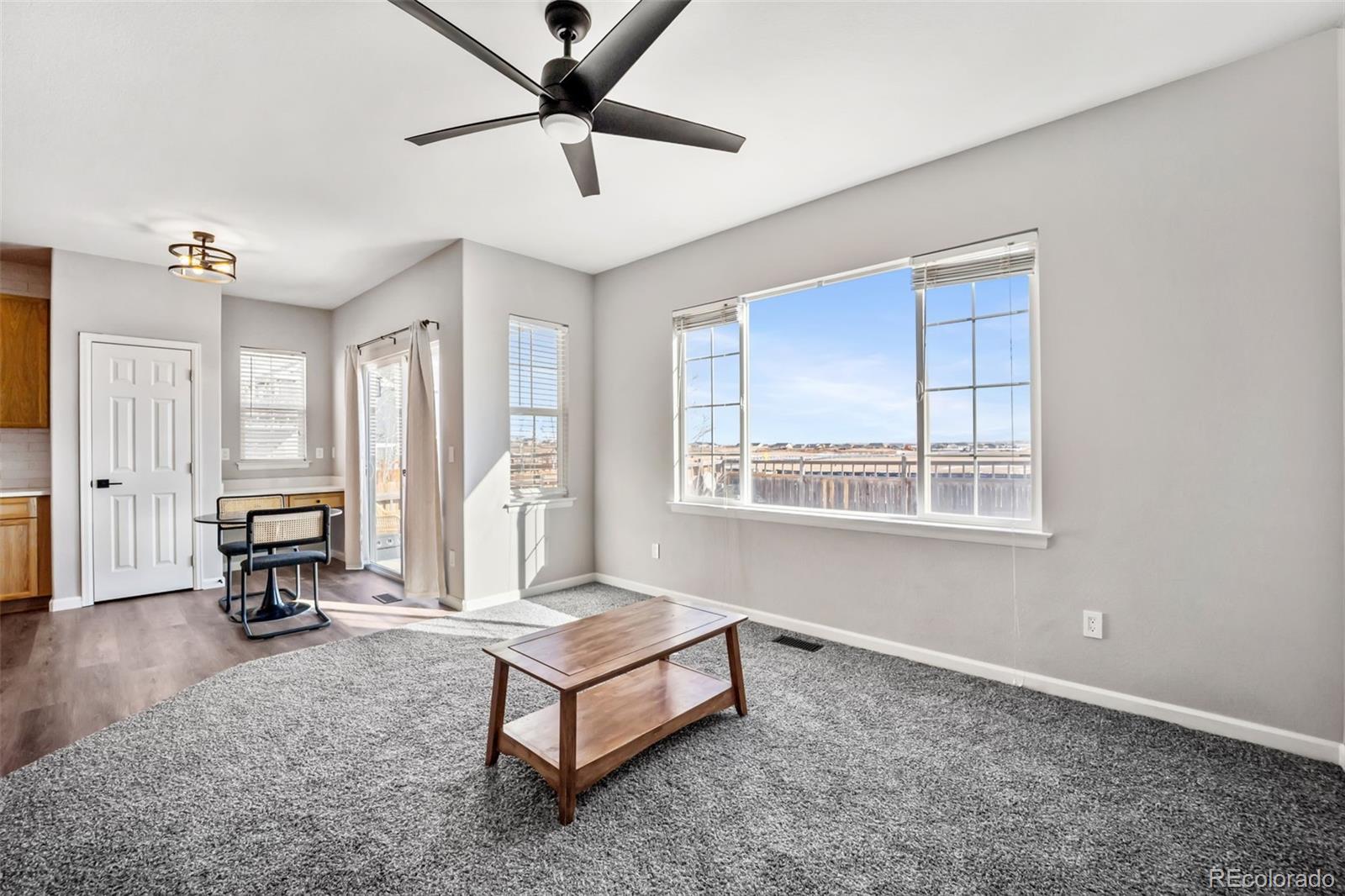 MLS Image #10 for 164  apache plume street,brighton, Colorado