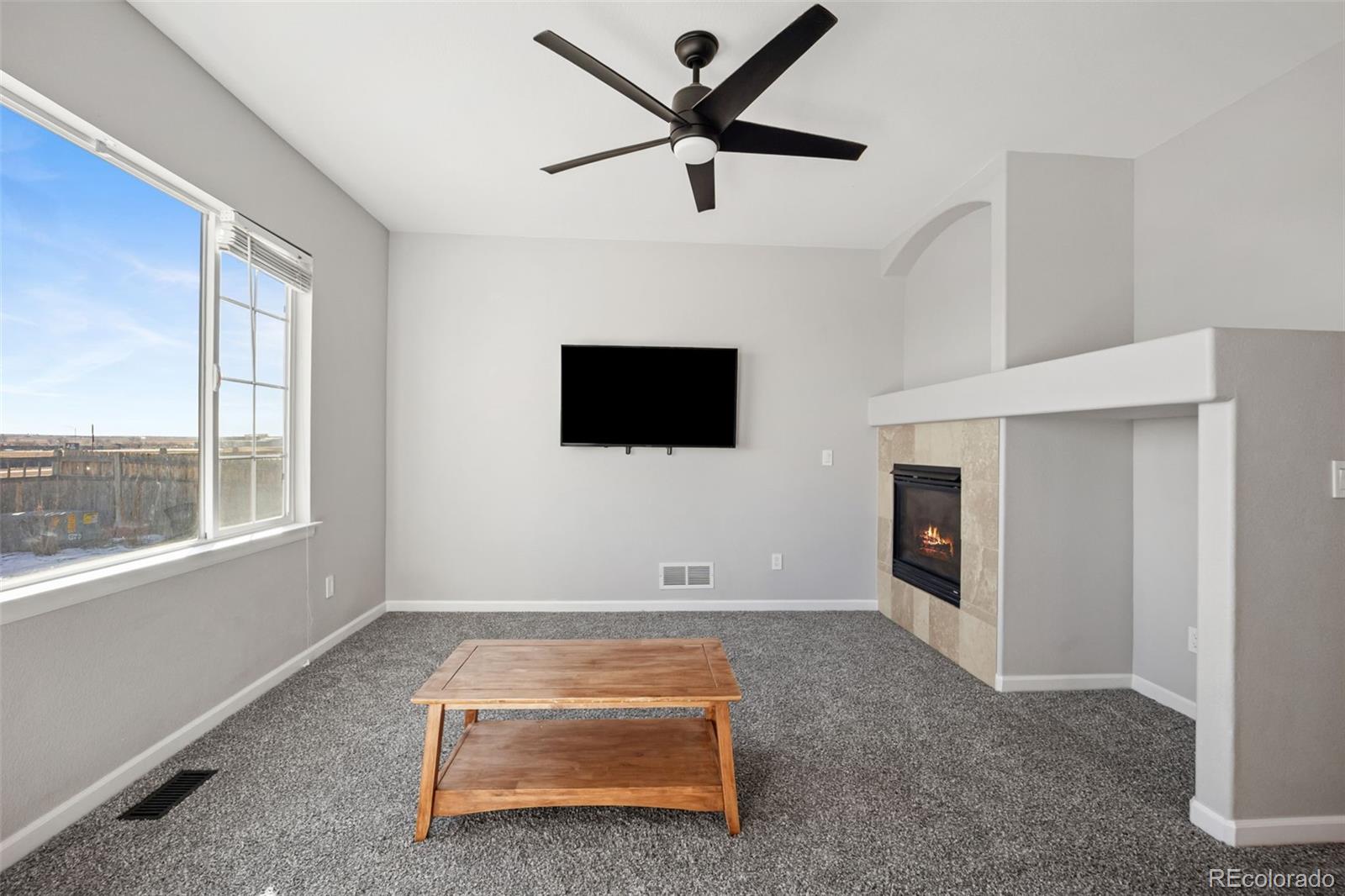 MLS Image #8 for 164  apache plume street,brighton, Colorado