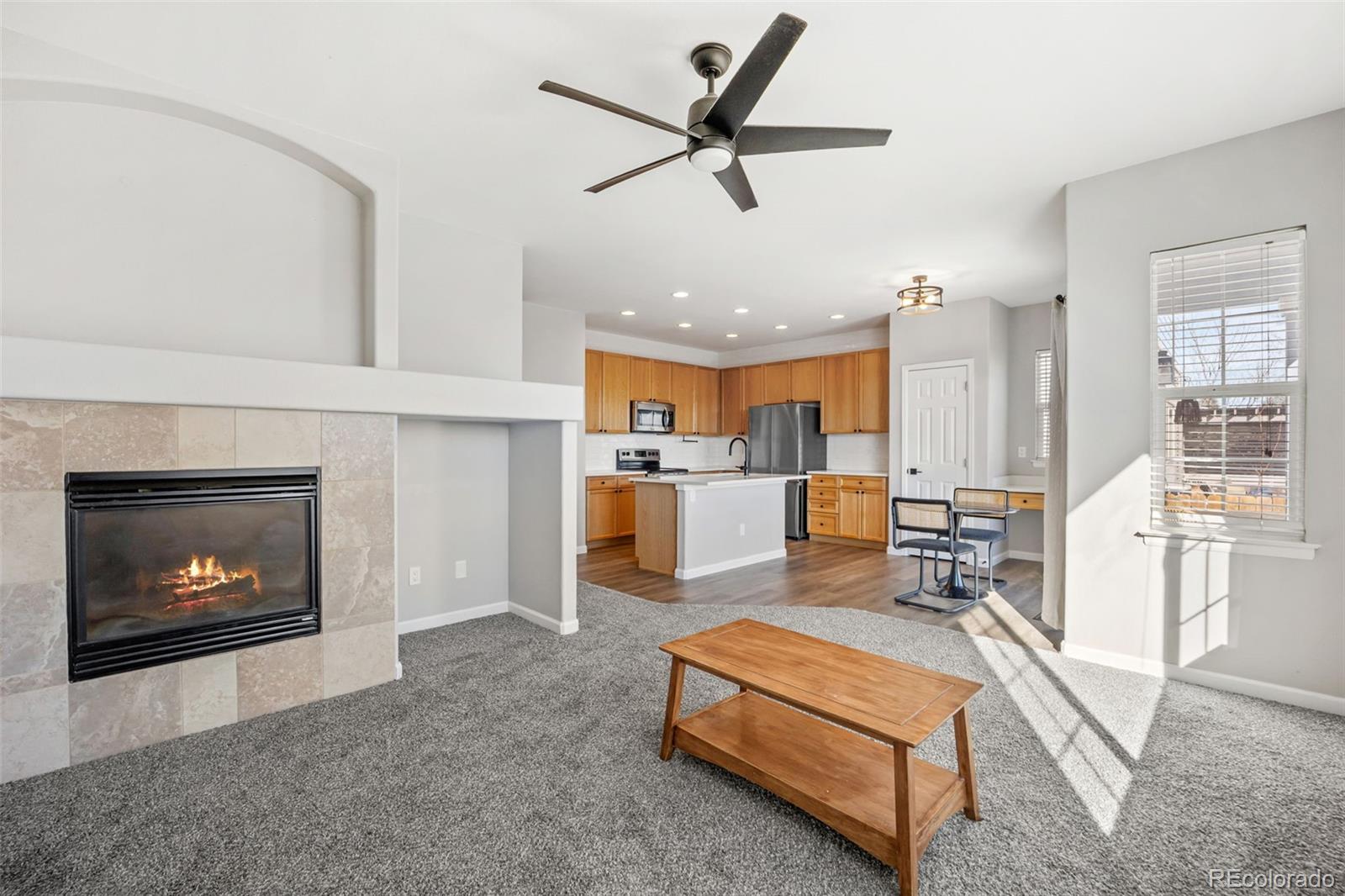 MLS Image #9 for 164  apache plume street,brighton, Colorado
