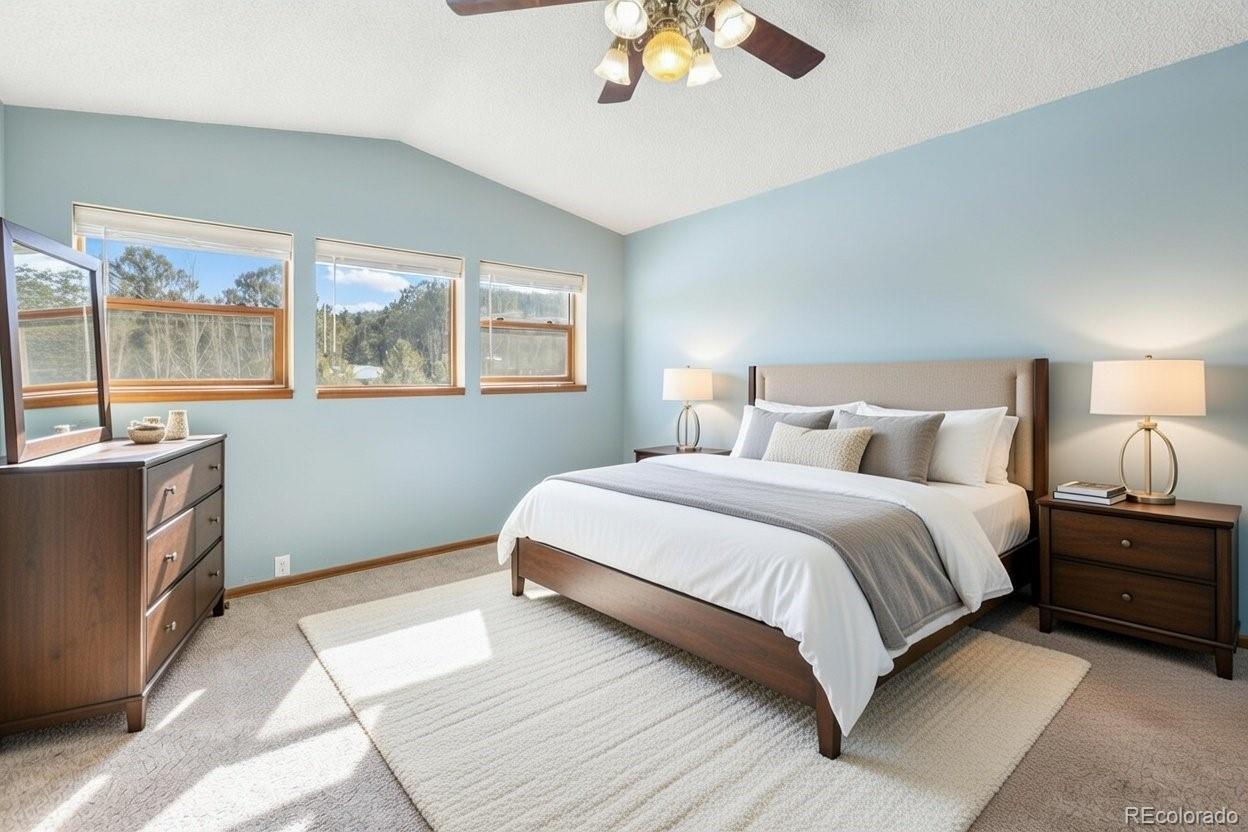 MLS Image #12 for 1325  thomas circle,woodland park, Colorado