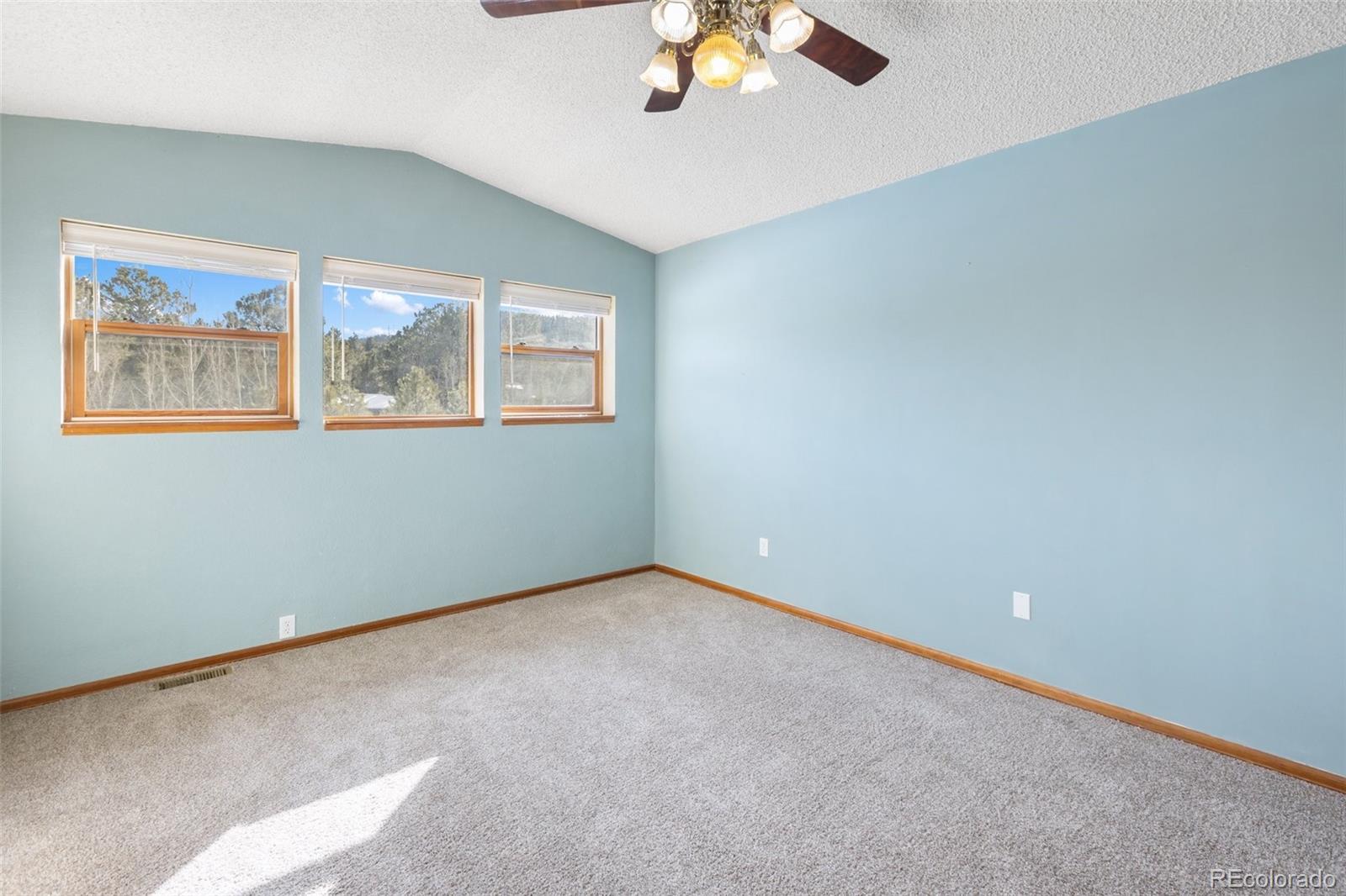 MLS Image #13 for 1325  thomas circle,woodland park, Colorado