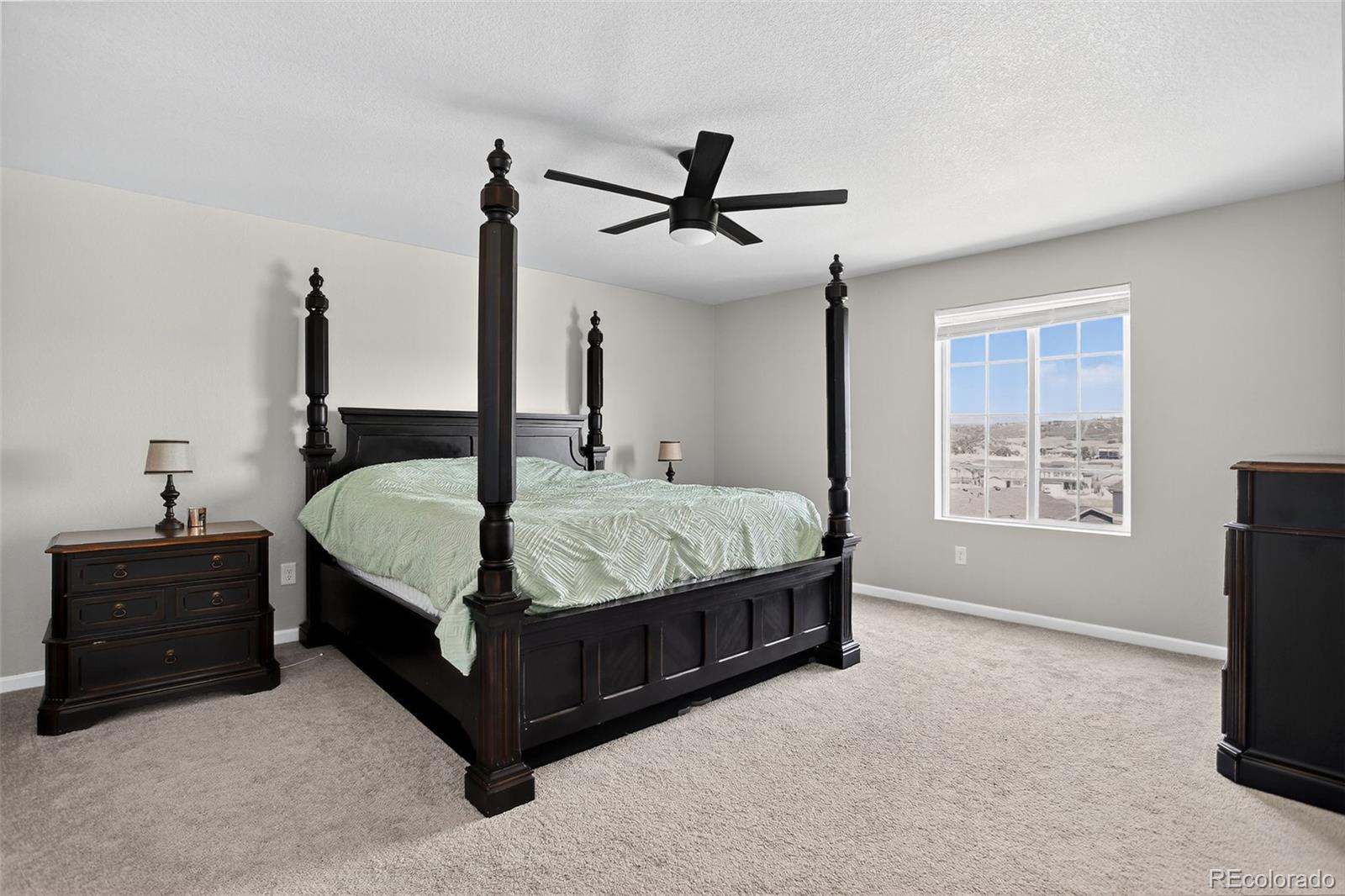 MLS Image #23 for 5336  trails edge lane,castle rock, Colorado