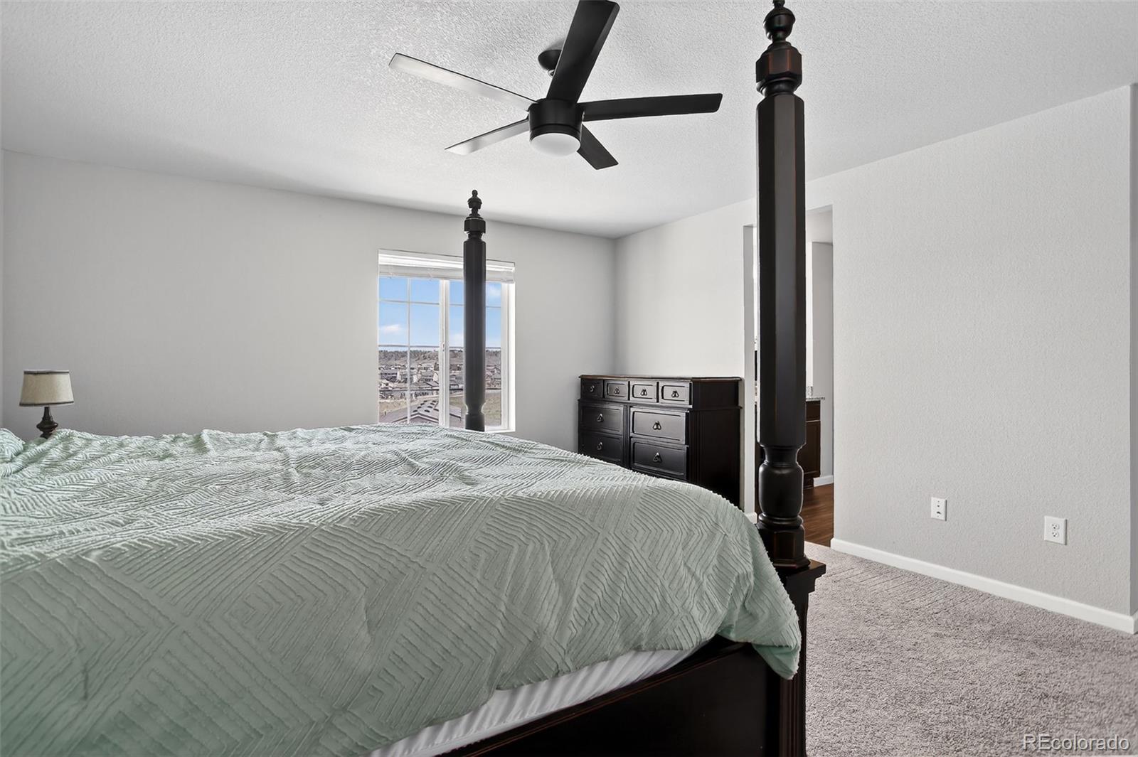 MLS Image #24 for 5336  trails edge lane,castle rock, Colorado