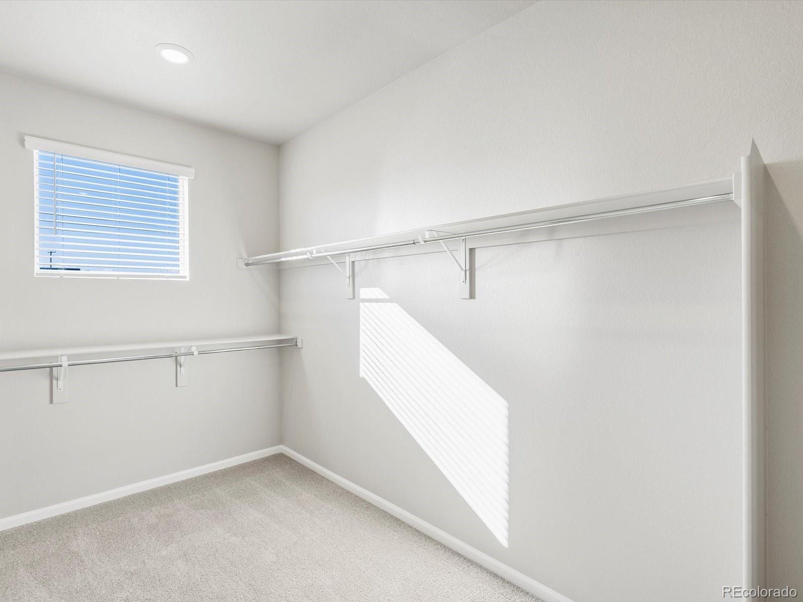 MLS Image #18 for 1625  yampa river drive,windsor, Colorado