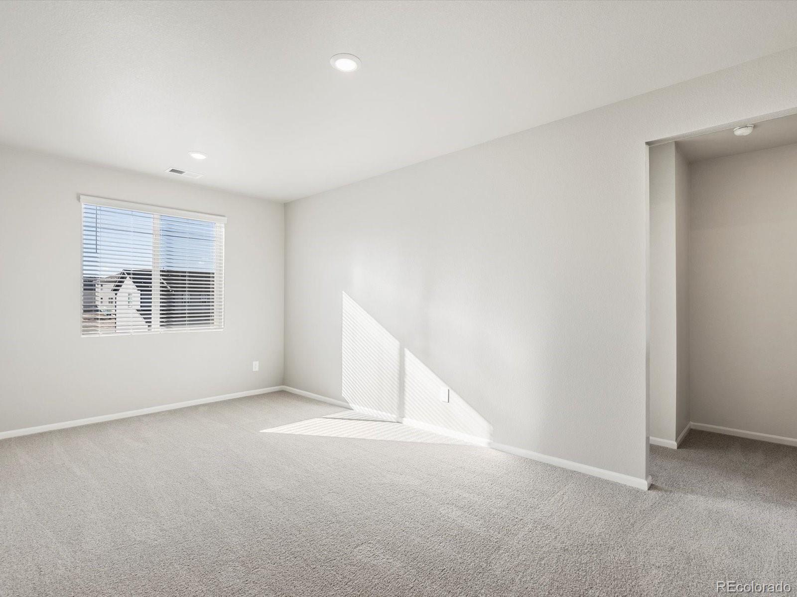 MLS Image #22 for 1625  yampa river drive,windsor, Colorado