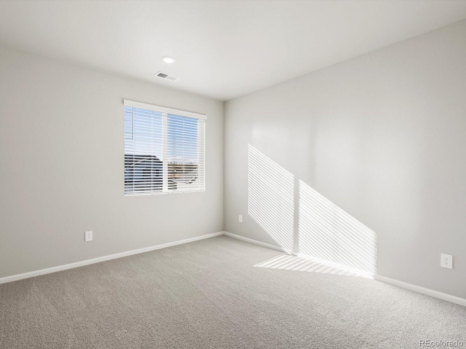 MLS Image #24 for 1625  yampa river drive,windsor, Colorado