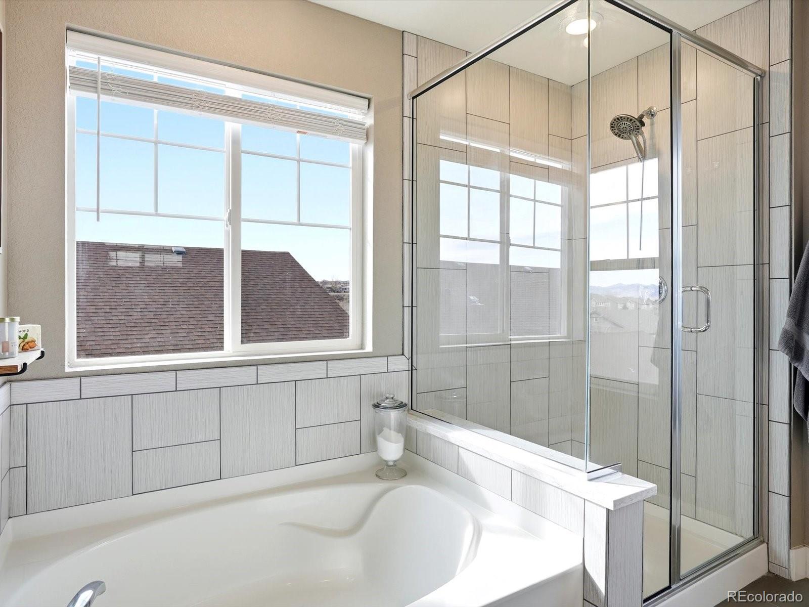 MLS Image #27 for 4162  forever circle,castle rock, Colorado