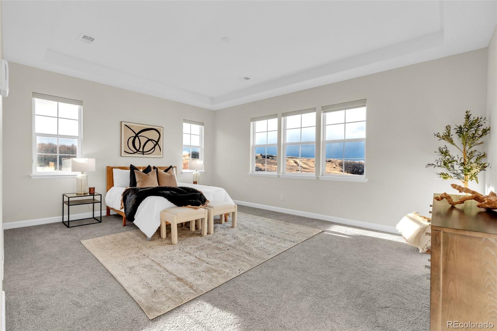 MLS Image #28 for 5125  hickory oaks street,castle rock, Colorado