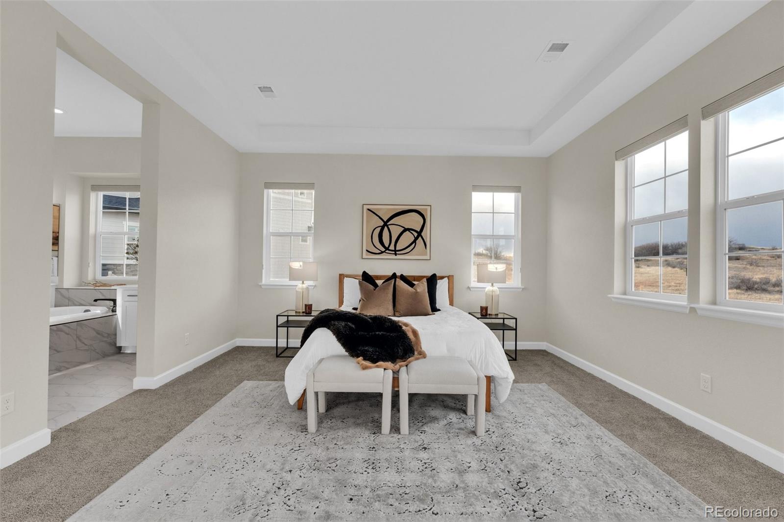 MLS Image #29 for 5125  hickory oaks street,castle rock, Colorado