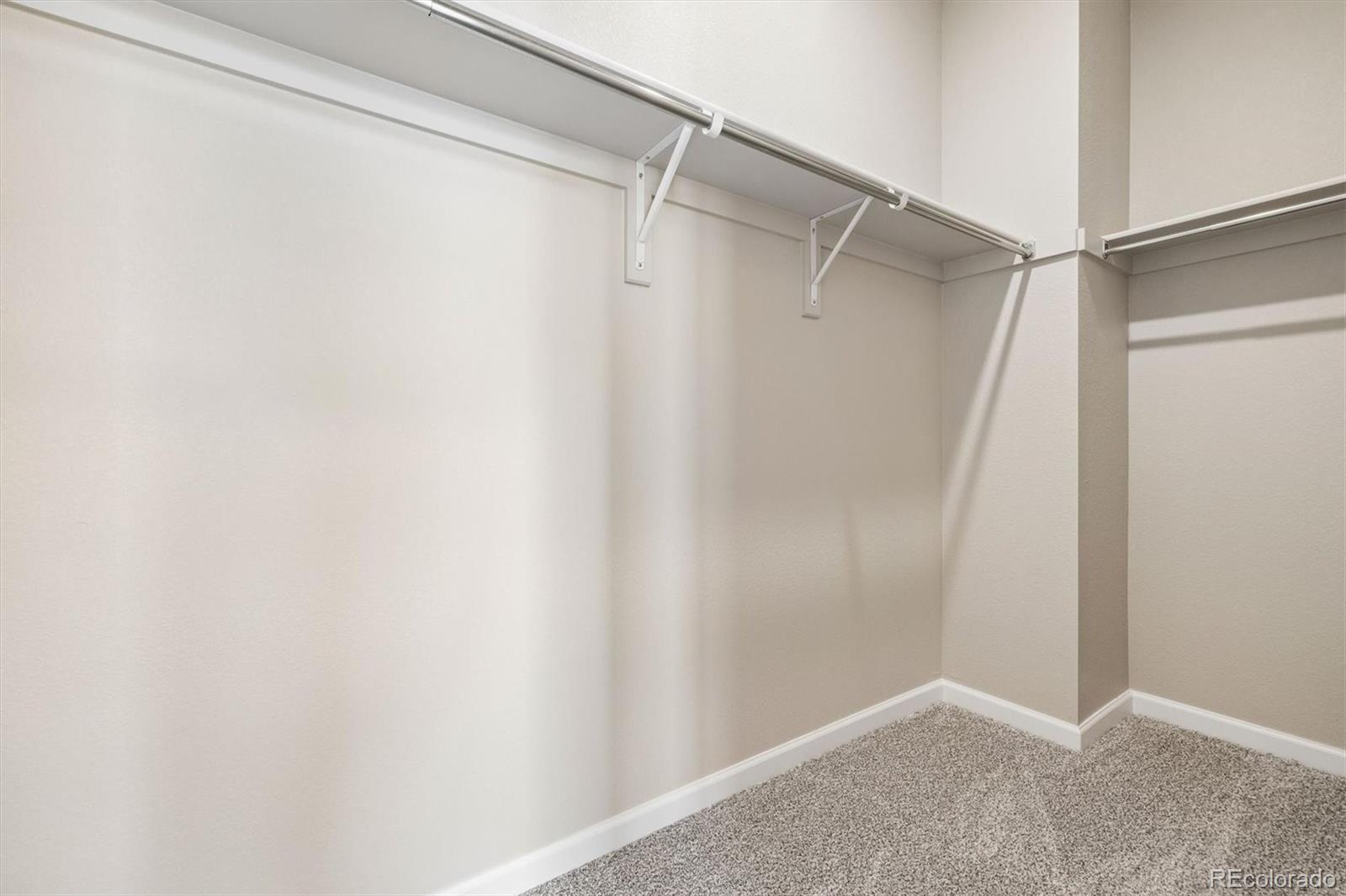 MLS Image #15 for 6720  merseyside lane ,castle pines, Colorado
