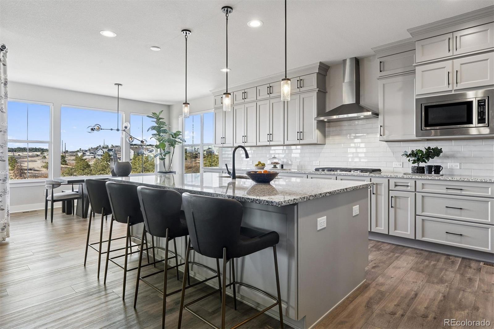 MLS Image #1 for 3461  vamoose court,castle rock, Colorado