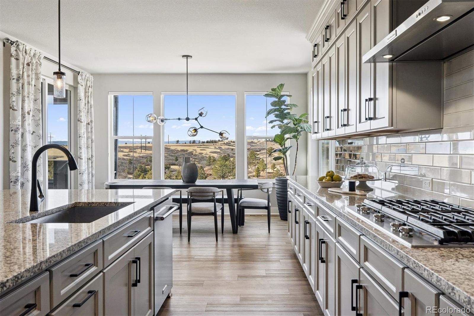 MLS Image #19 for 3461  vamoose court,castle rock, Colorado