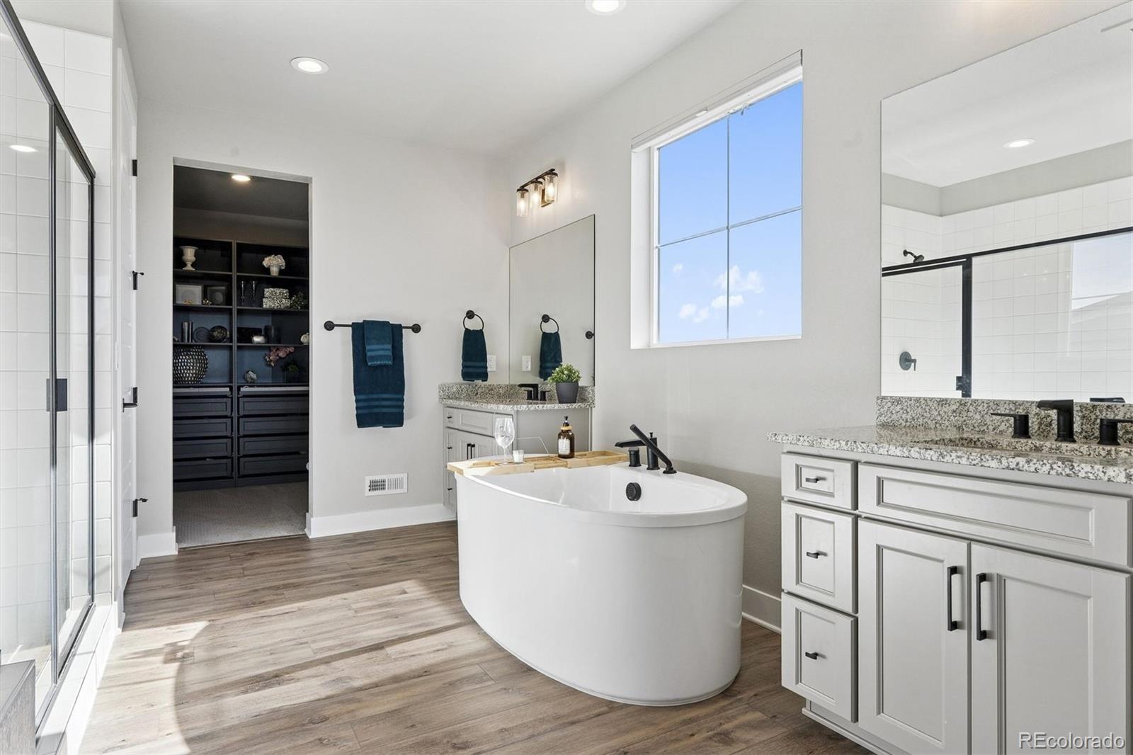 MLS Image #4 for 3461  vamoose court,castle rock, Colorado