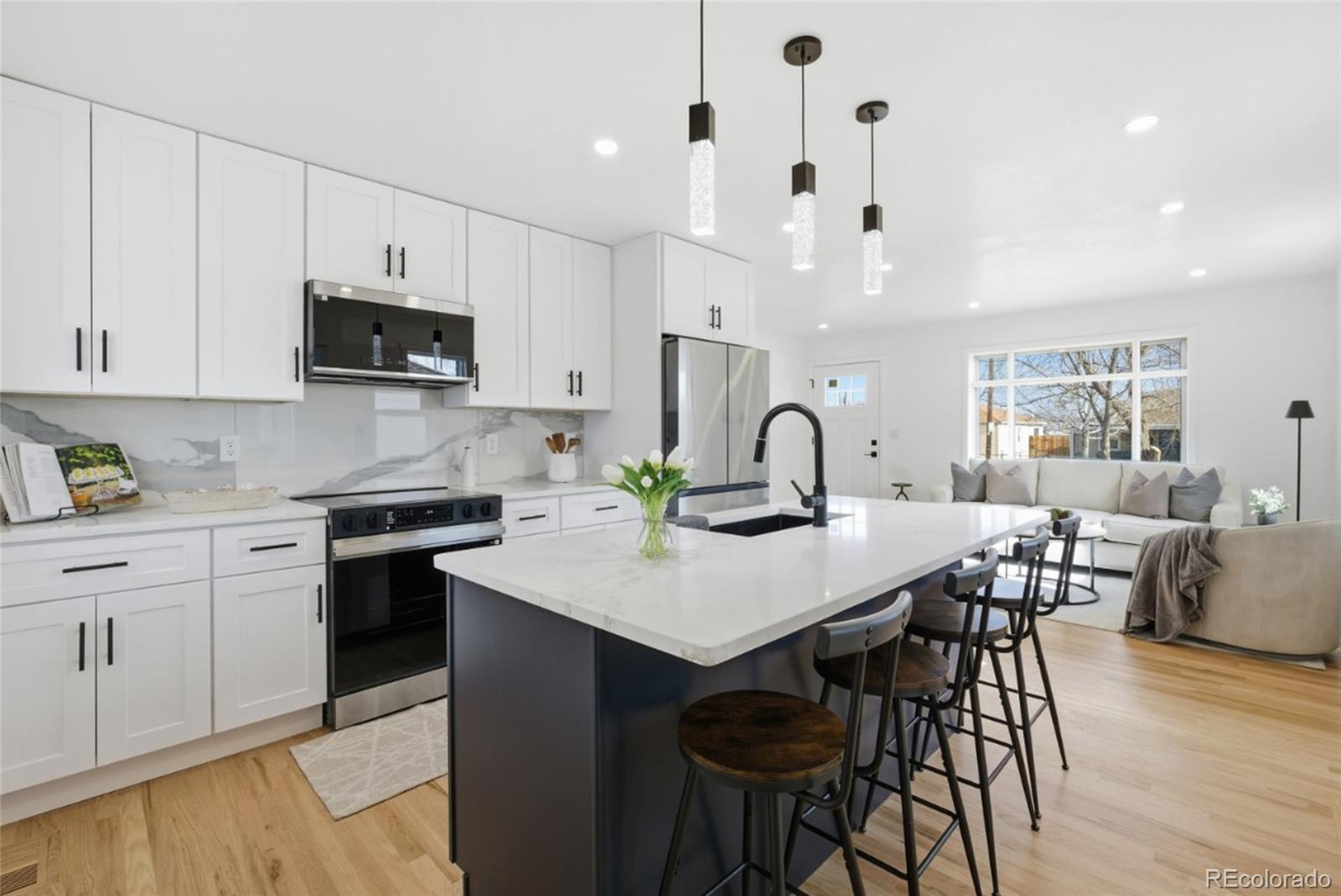 MLS Image #6 for 4955  zuni street,denver, Colorado