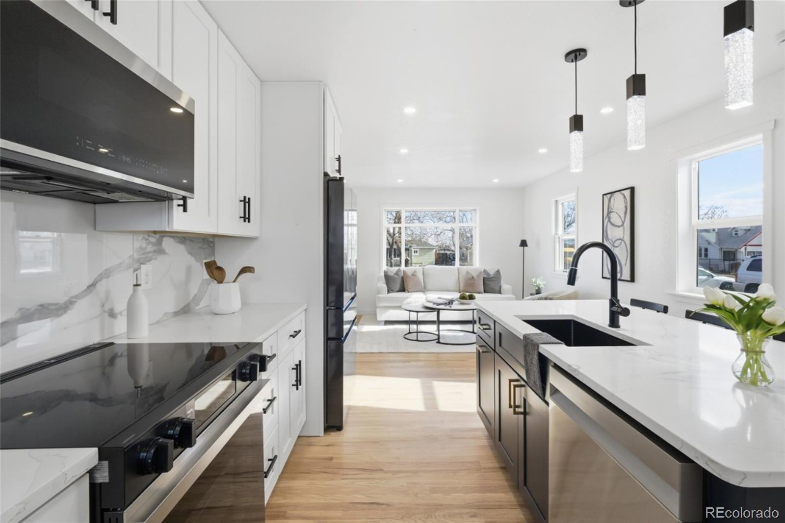 MLS Image #7 for 4955  zuni street,denver, Colorado