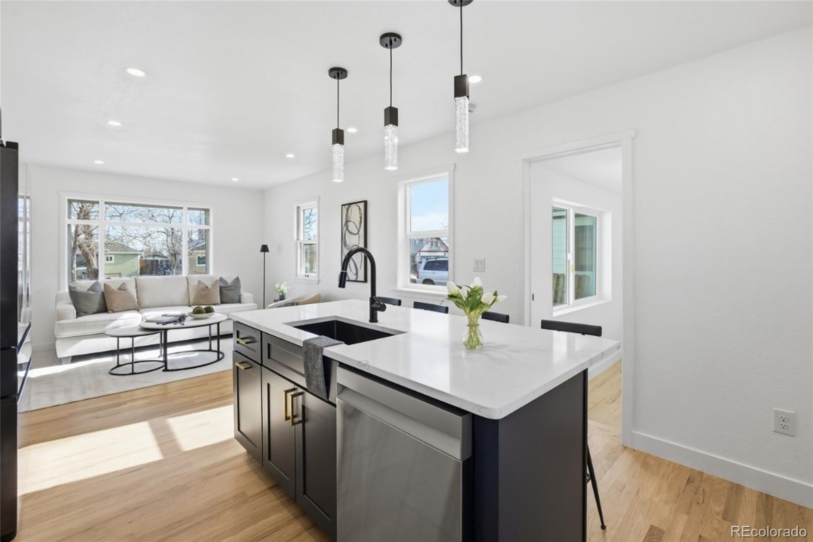 MLS Image #8 for 4955  zuni street,denver, Colorado
