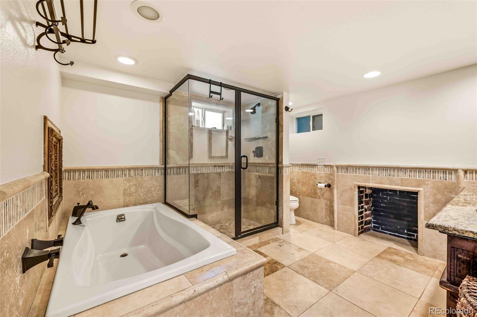 MLS Image #21 for 4322  decatur street,denver, Colorado
