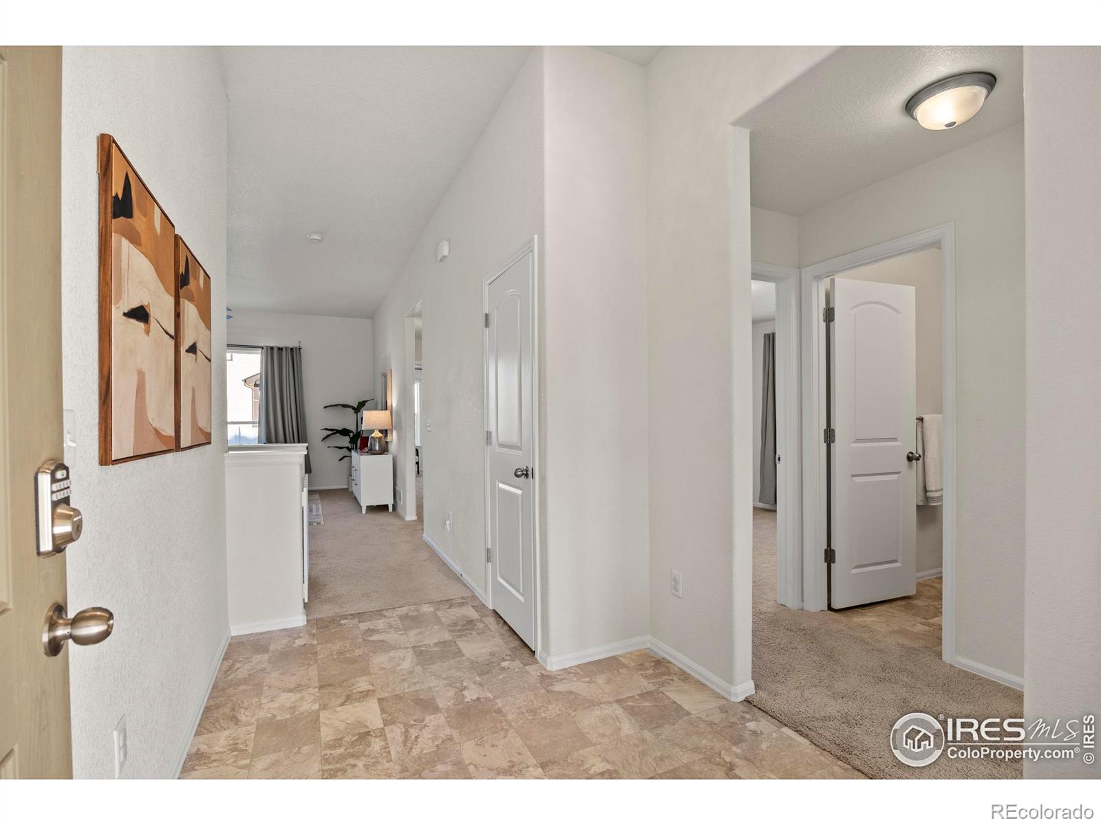 MLS Image #3 for 825  sambar drive,severance, Colorado