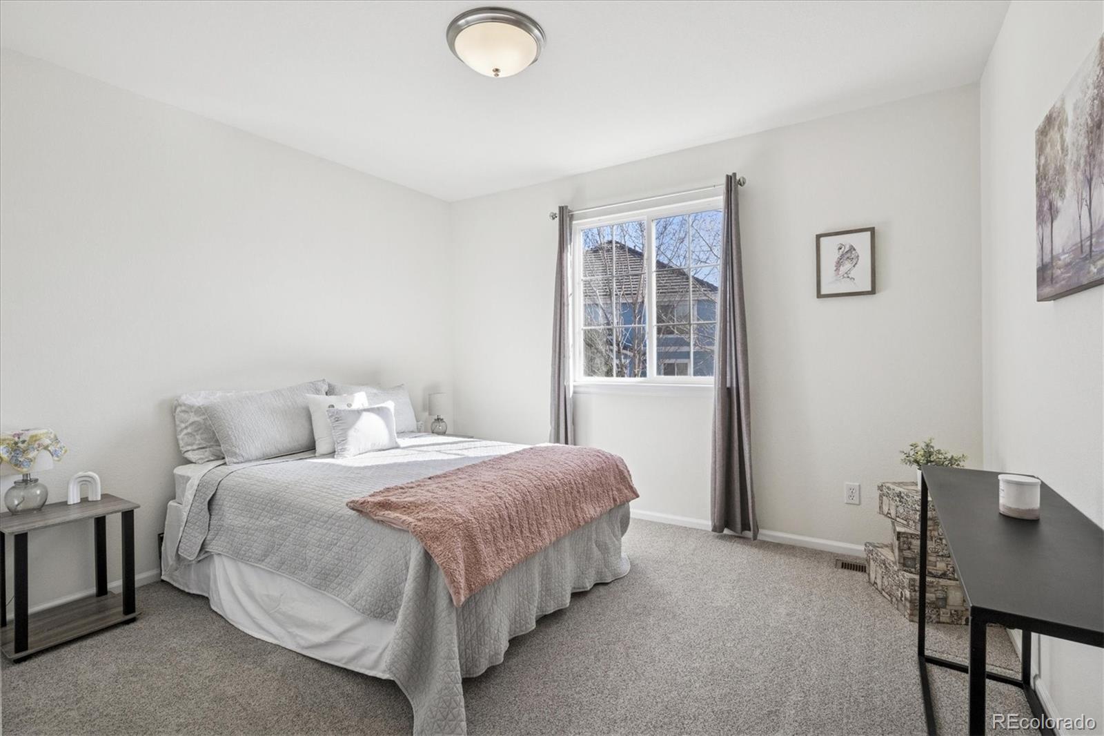 MLS Image #22 for 2932  open sky way,castle rock, Colorado