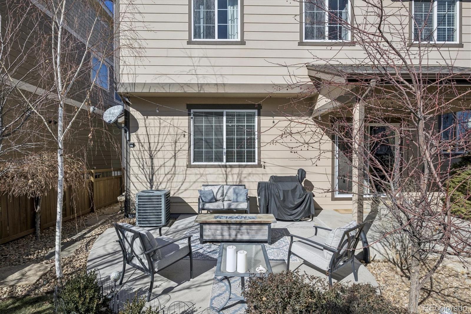 MLS Image #27 for 2932  open sky way,castle rock, Colorado