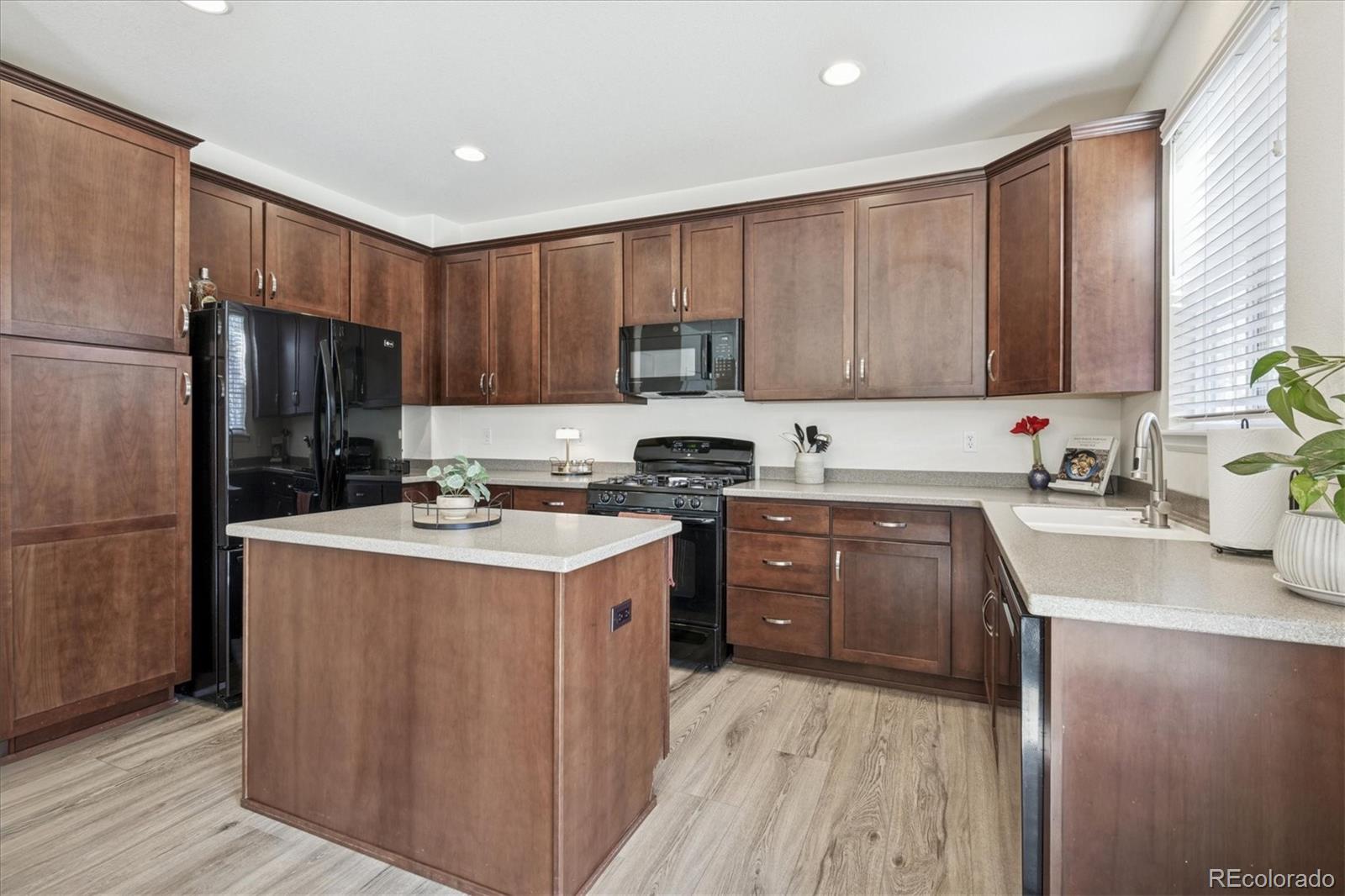MLS Image #4 for 2932  open sky way,castle rock, Colorado
