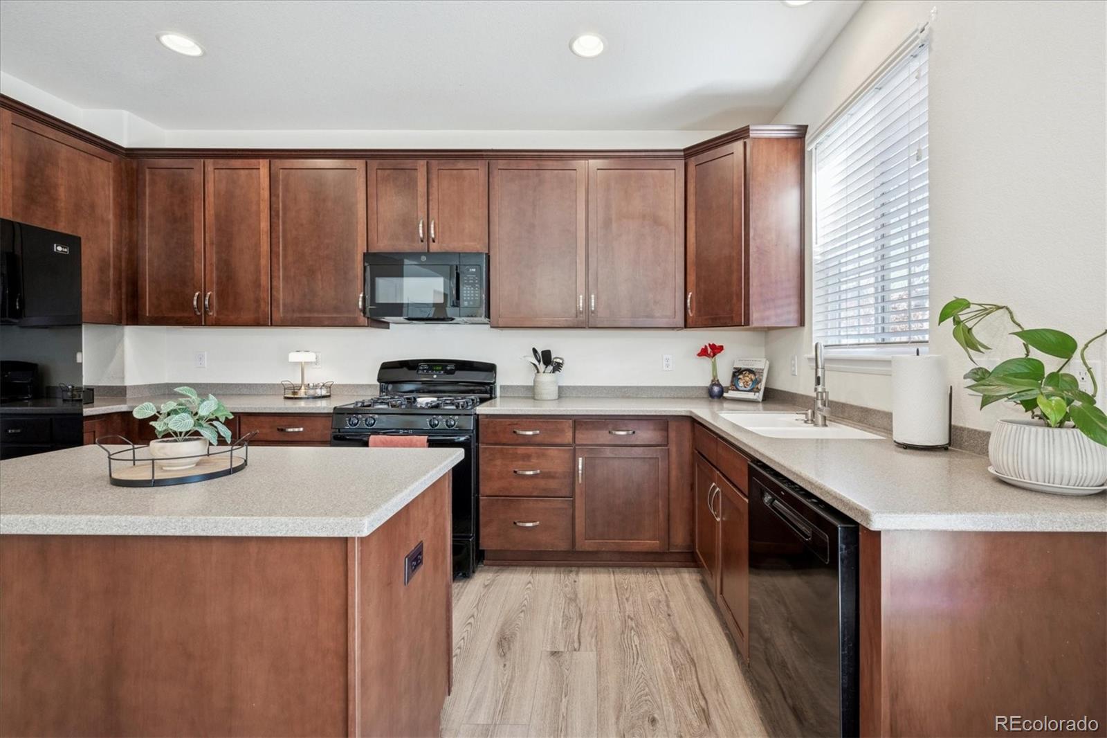 MLS Image #5 for 2932  open sky way,castle rock, Colorado