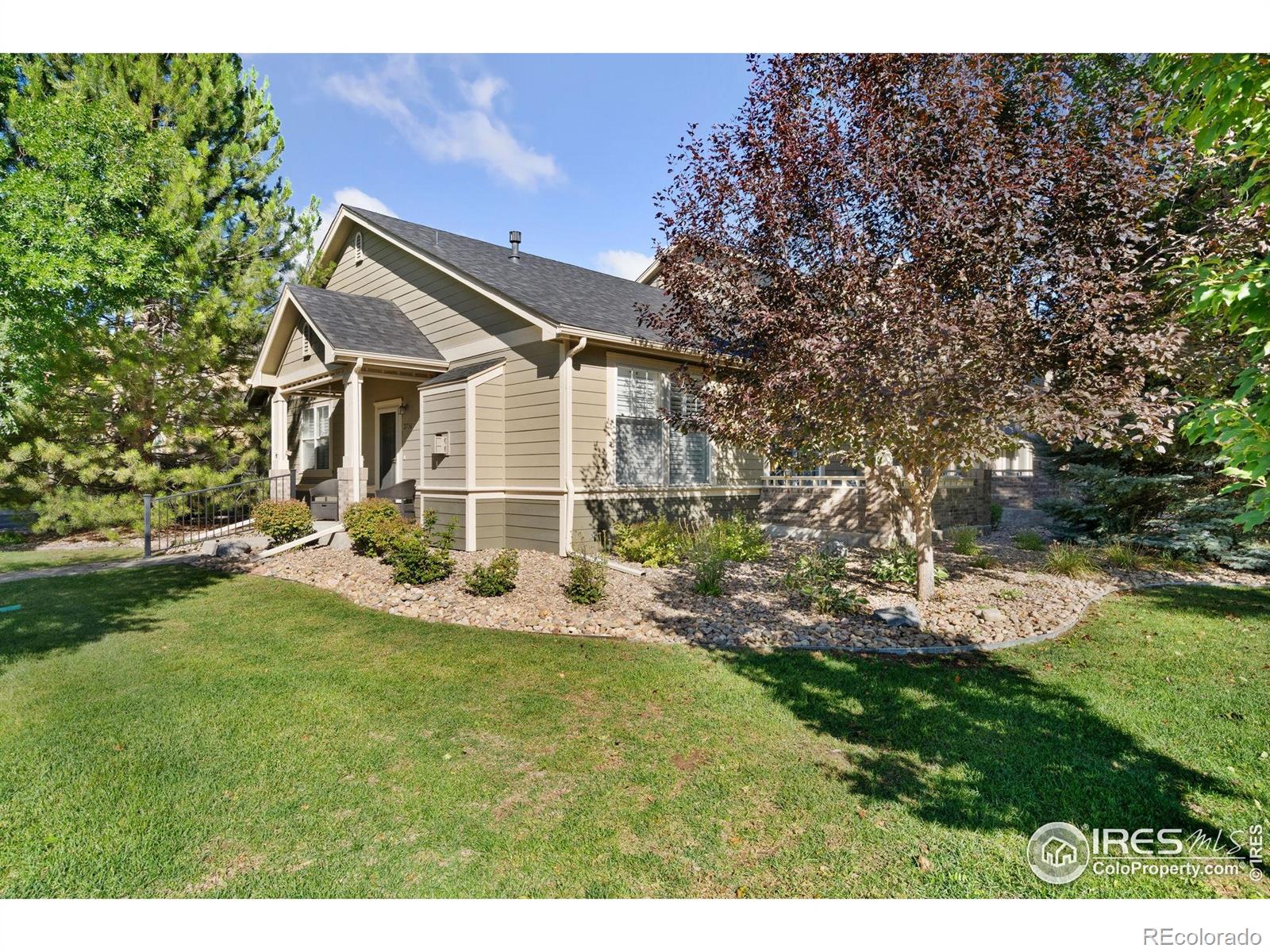 MLS Image #1 for 2756  amber waves lane,fort collins, Colorado