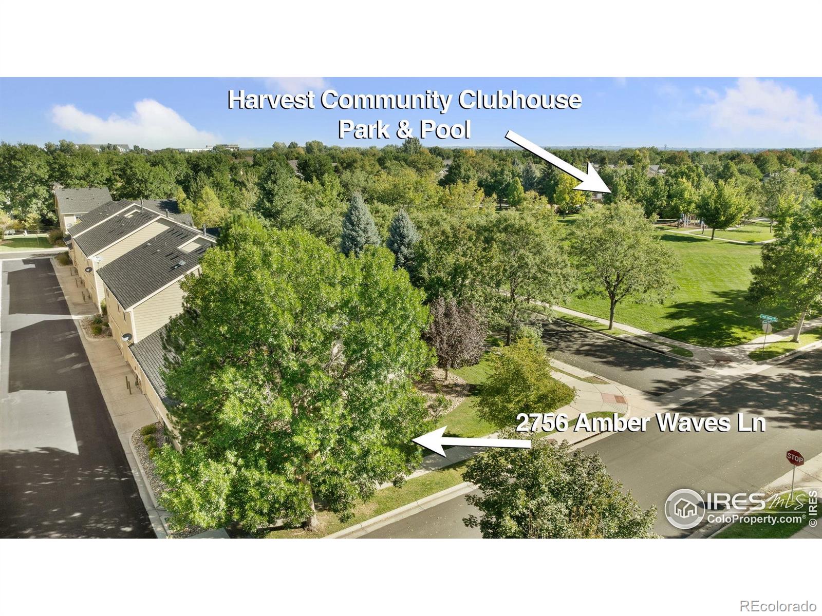 MLS Image #5 for 2756  amber waves lane,fort collins, Colorado
