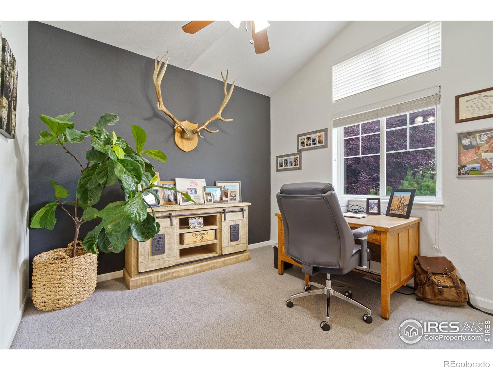 MLS Image #16 for 1689  colorado river drive,windsor, Colorado