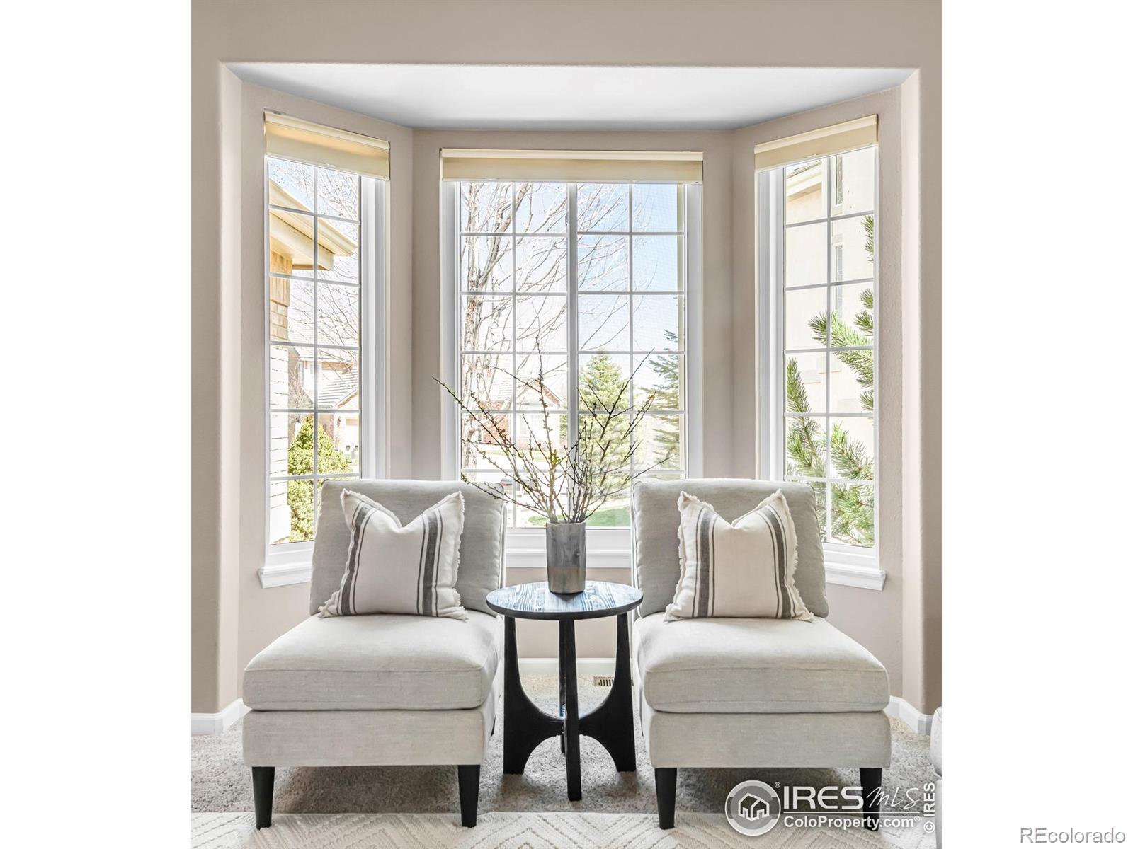 MLS Image #3 for 2788  slate court,superior, Colorado