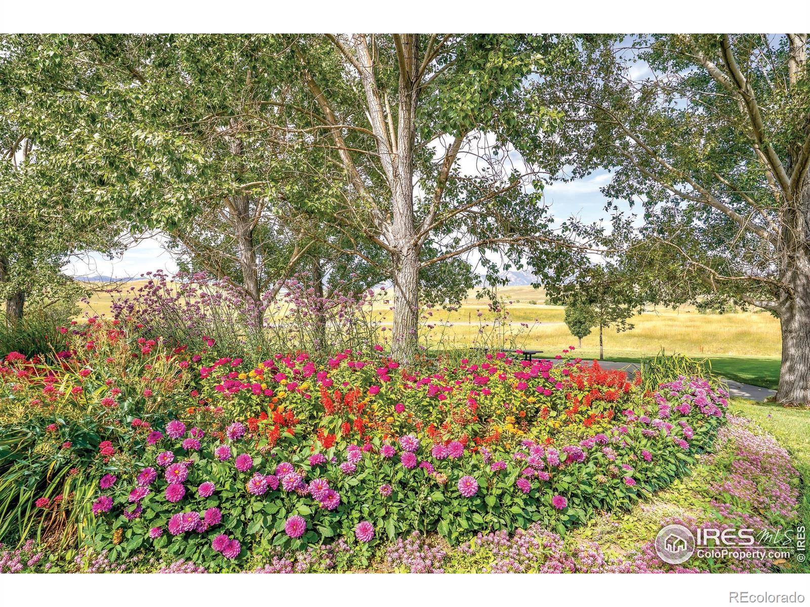 MLS Image #49 for 2788  slate court,superior, Colorado