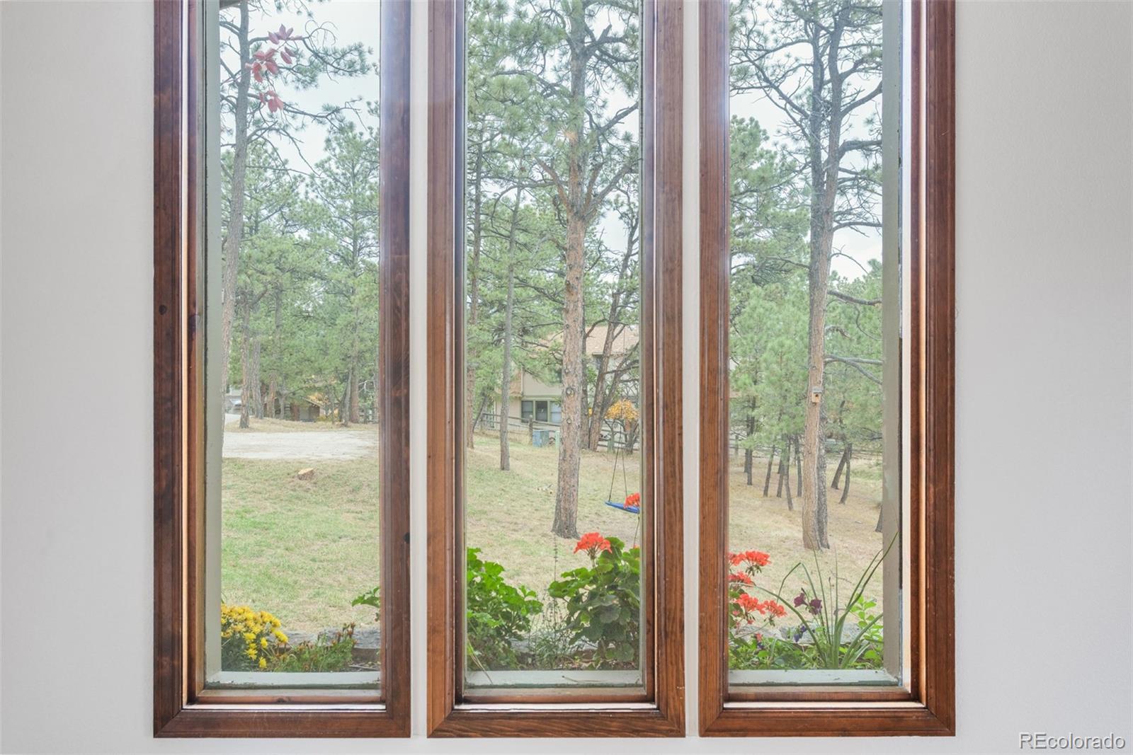 MLS Image #7 for 5992  belmont way,parker, Colorado