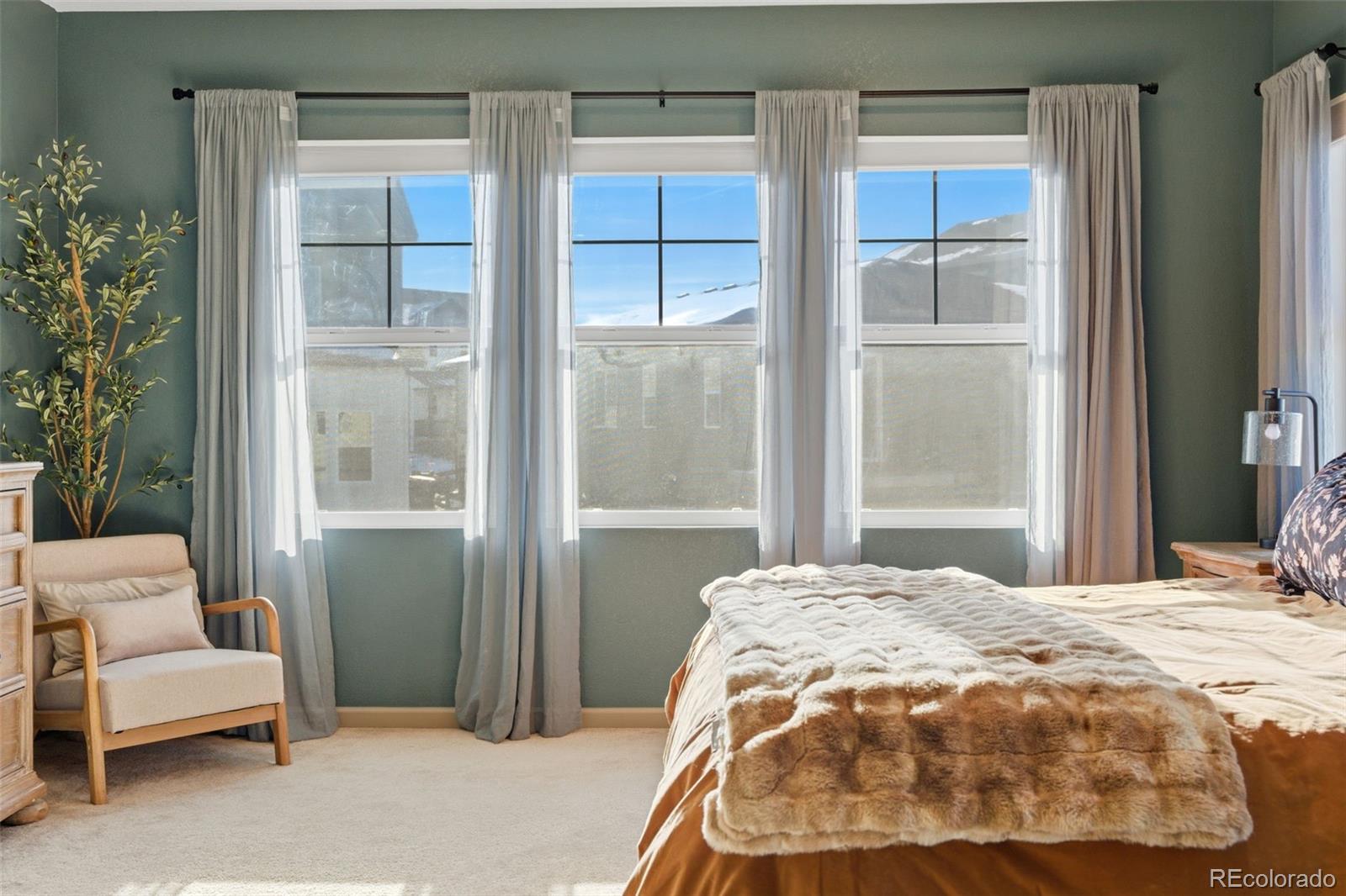MLS Image #19 for 8626  cheraw street,littleton, Colorado