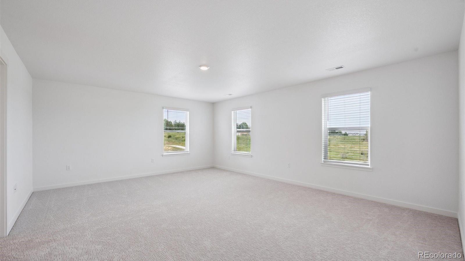MLS Image #13 for 14022  alpine phlox lane,parker, Colorado
