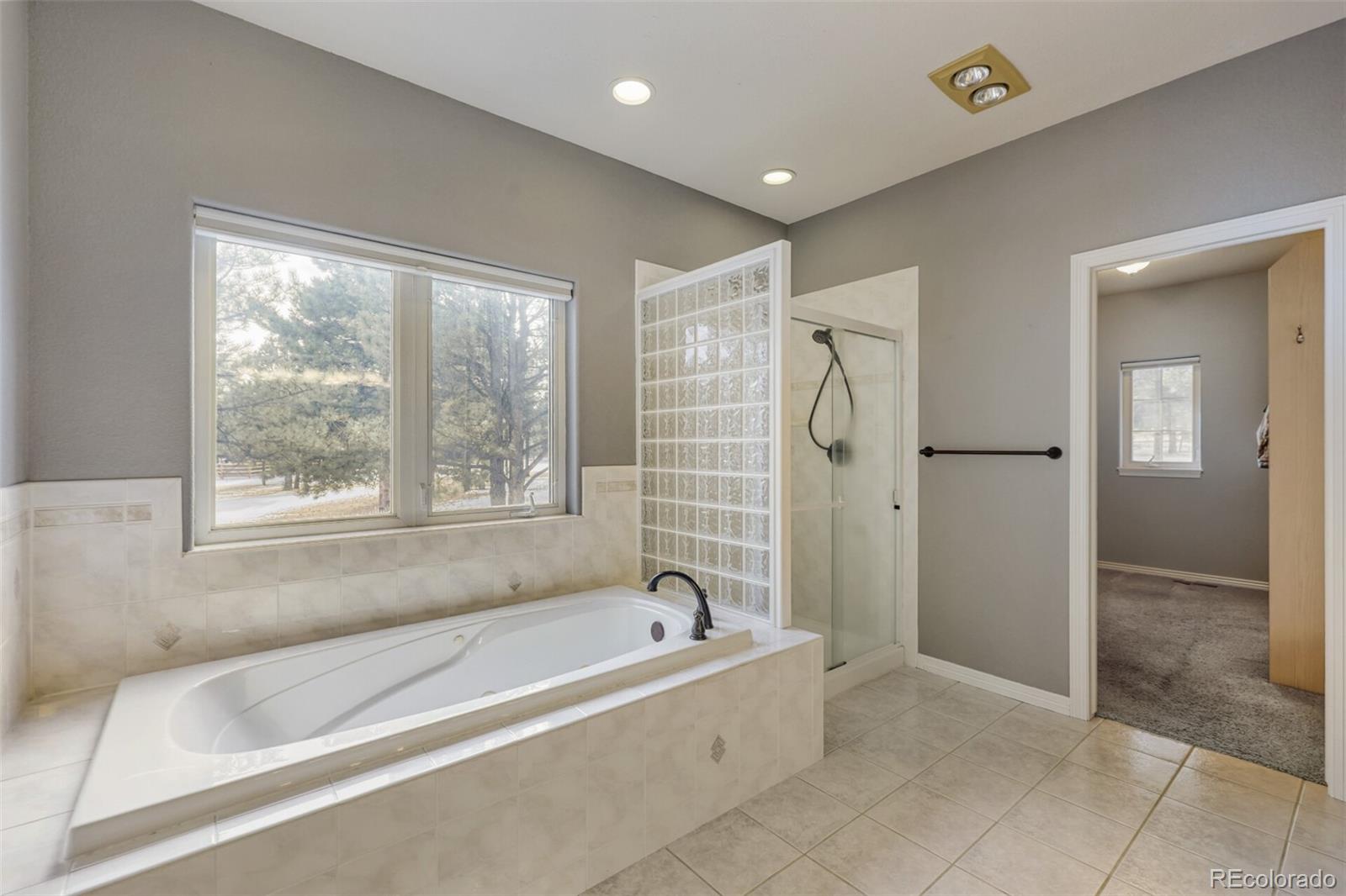 MLS Image #18 for 725  lancers court,monument, Colorado